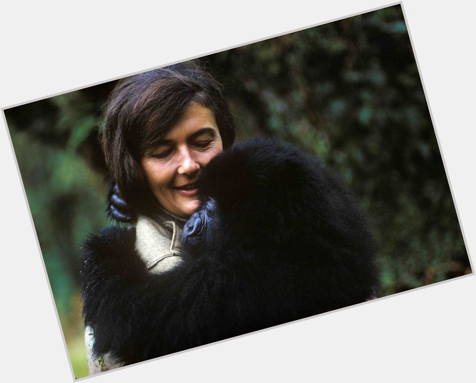 Dian Fossey dating 2