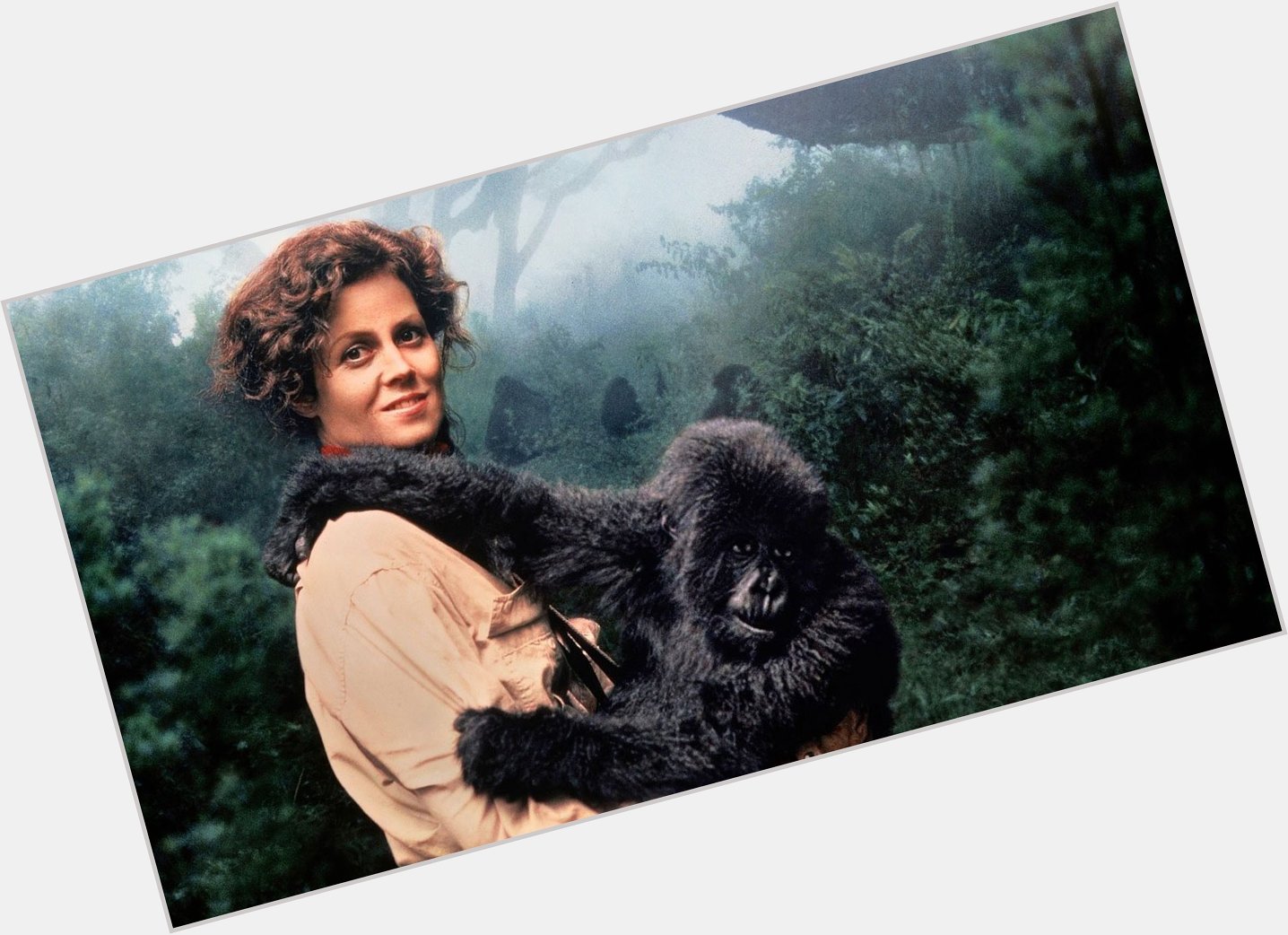 Dian Fossey hairstyle 3