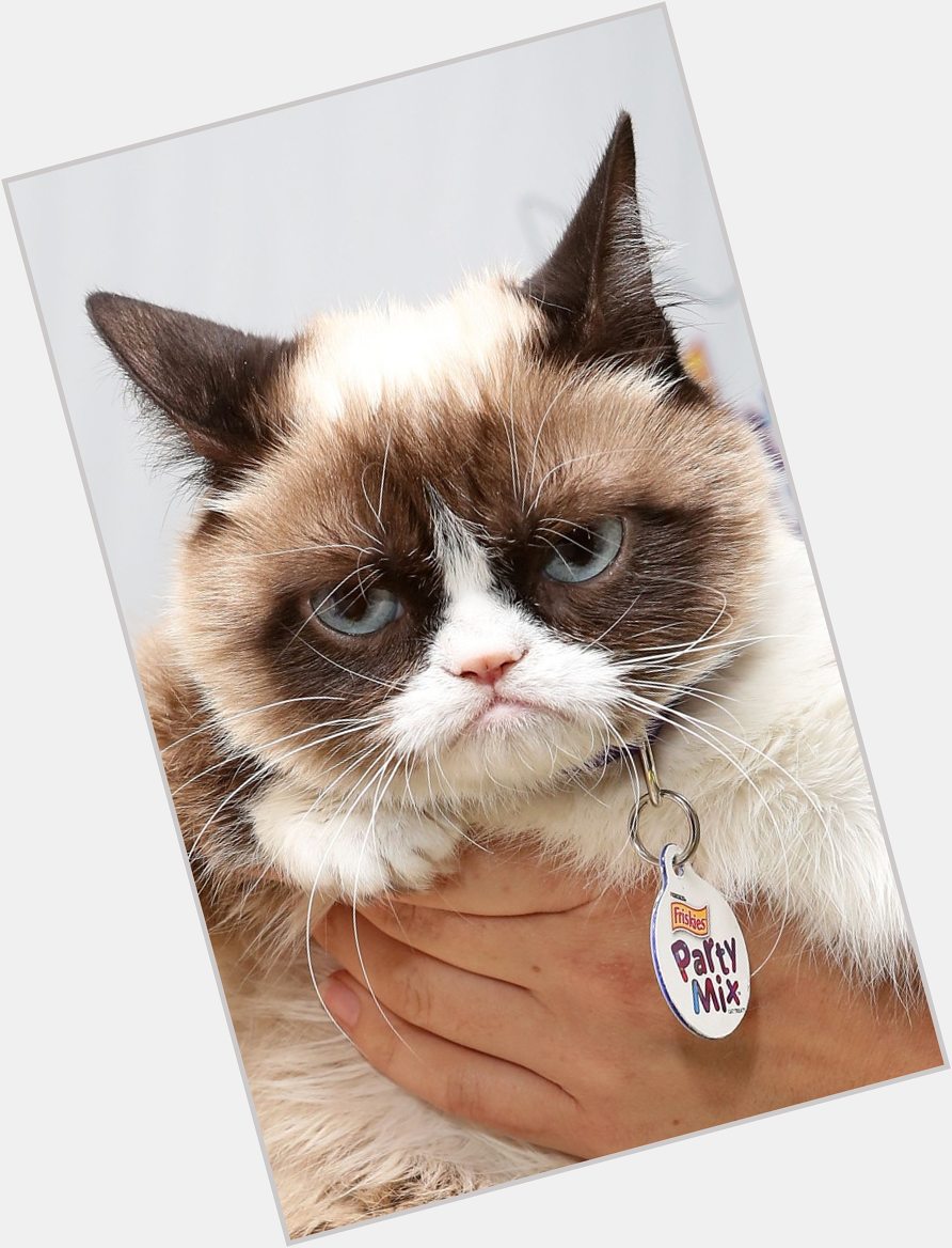 <a href="/hot-women/grumpy-cat/where-dating-news-photos">Grumpy Cat</a> Average body,  multi-colored hair & hairstyles