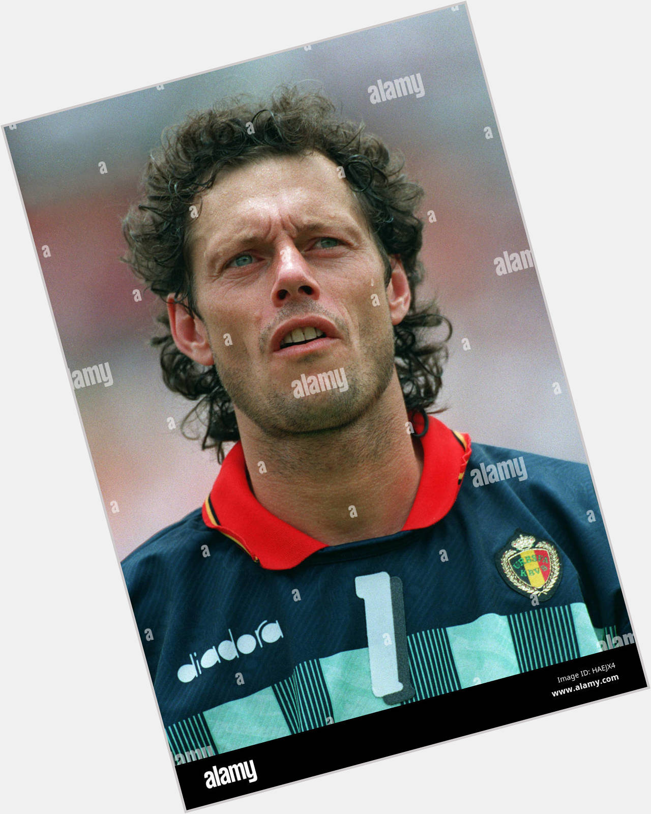Michel Preud homme new pic 1