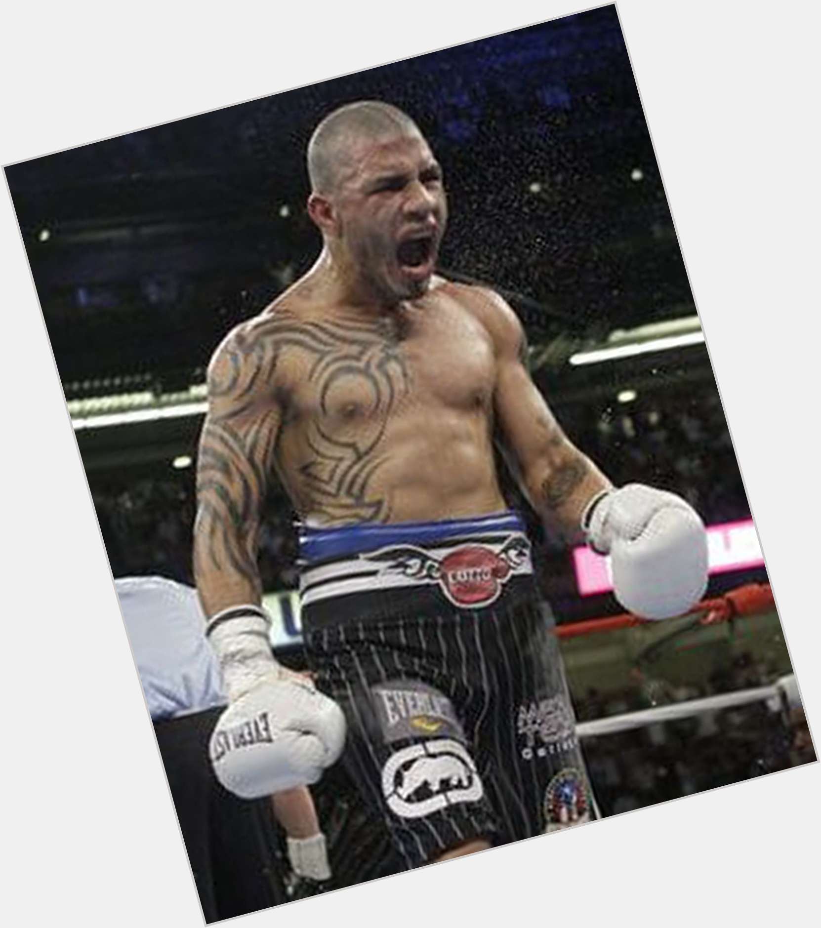 Miguel Cotto where who 3