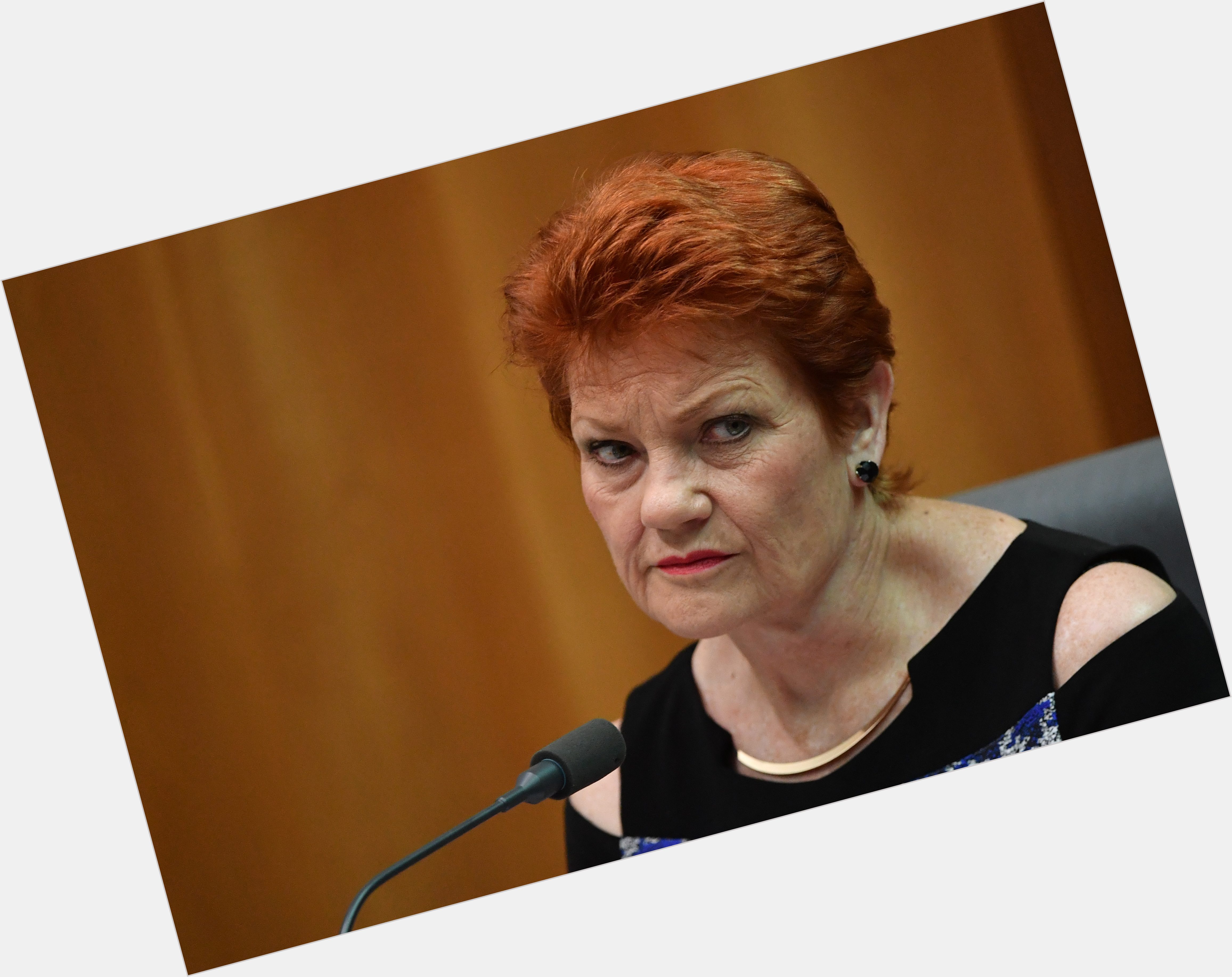 Pauline Hanson birthday 2015