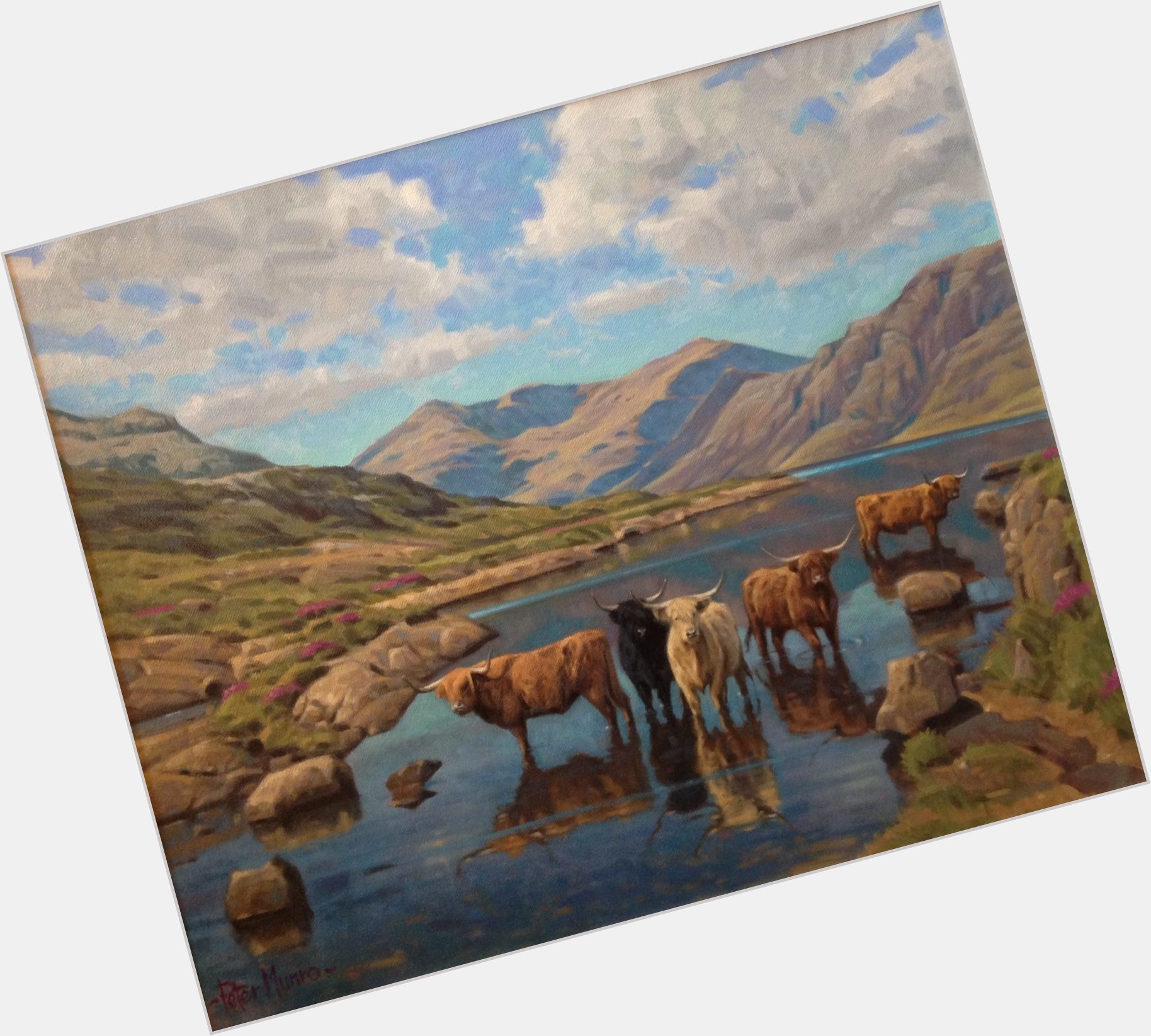 Peter Munro Official Site for Man Crush Monday MCM Woman Crush