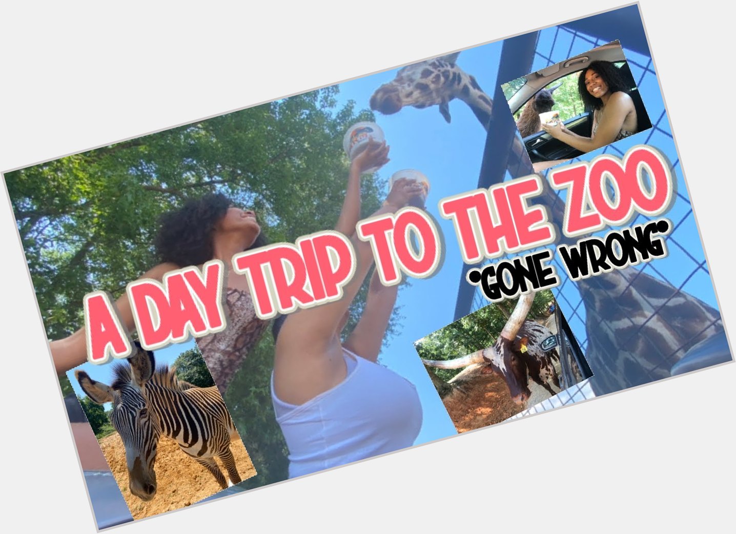A Day At The Zoo shirtless bikini