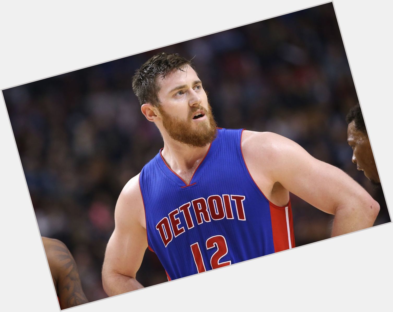 Aron Baynes birthday 2015