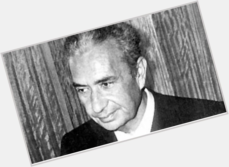 Aldo Moro Average body,  salt and pepper hair & hairstyles
