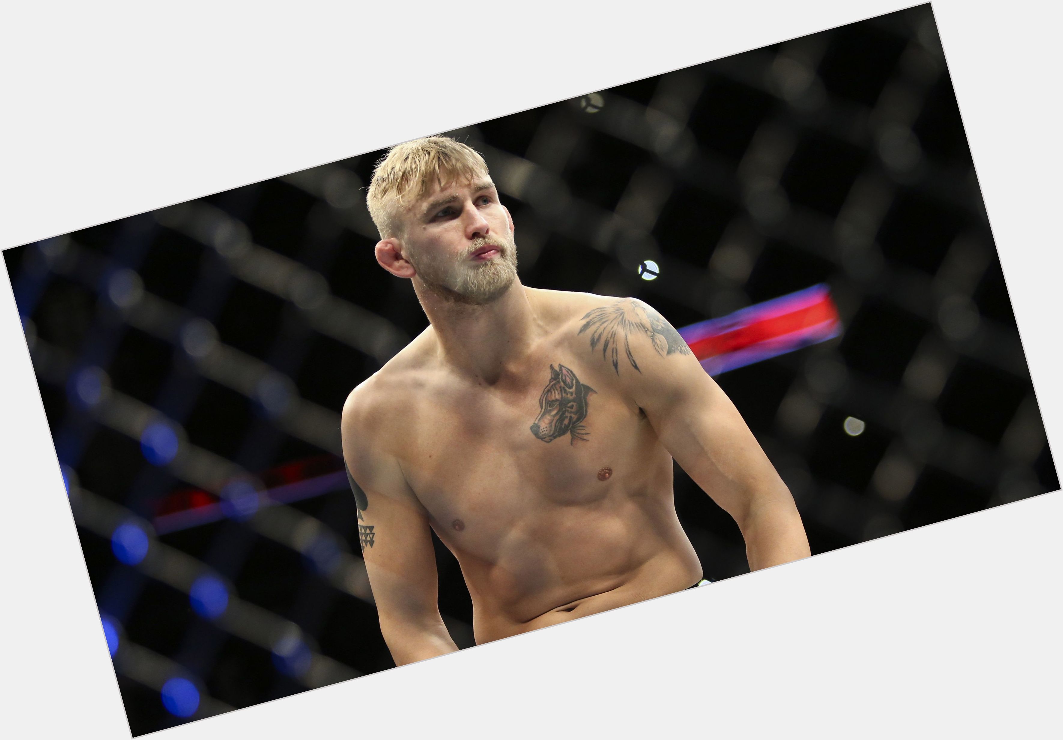 Alexander Gustafsson picture 1