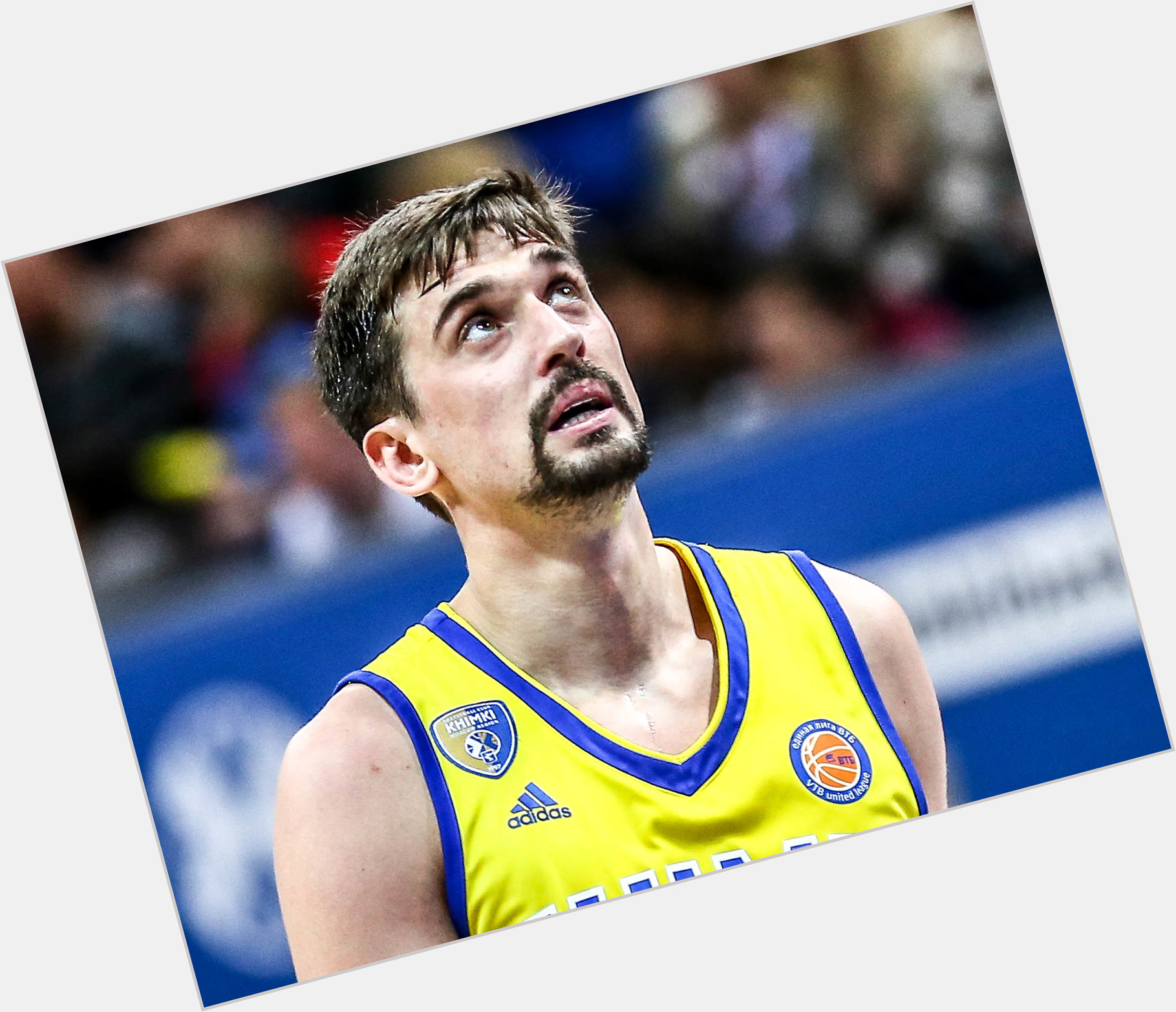 Alexey Shved picture 1