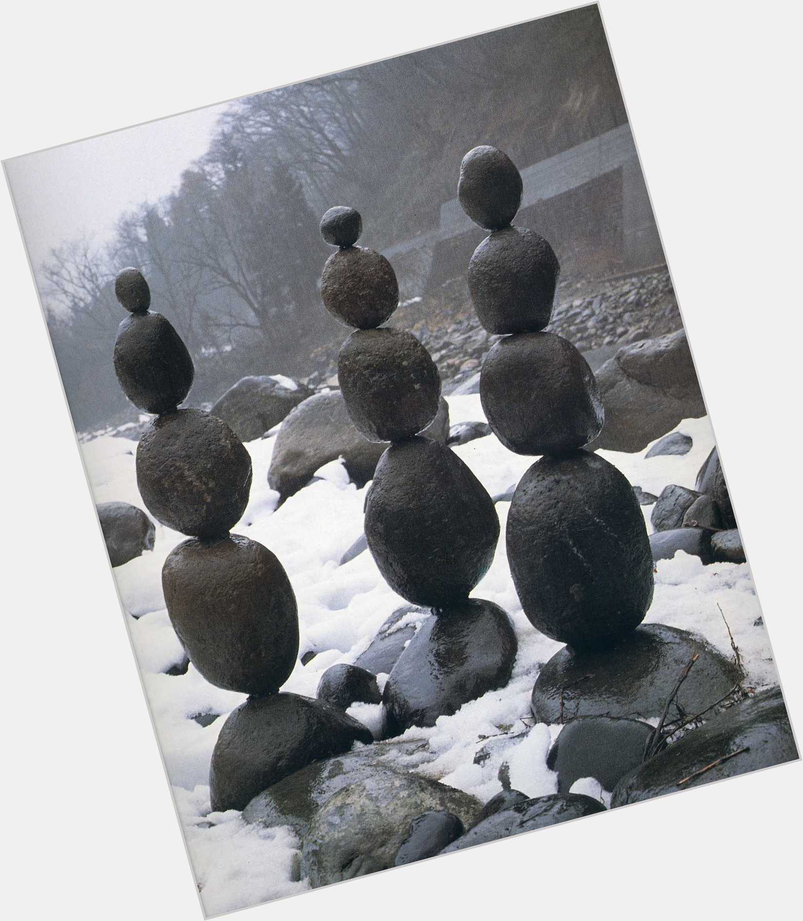 Andy Goldsworthy hairstyle 3