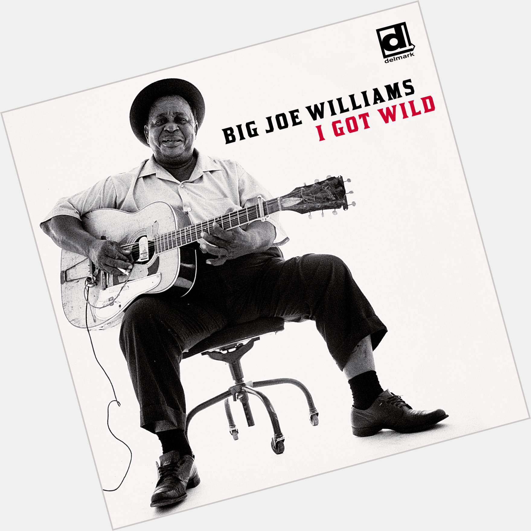 Big Joe Williams  