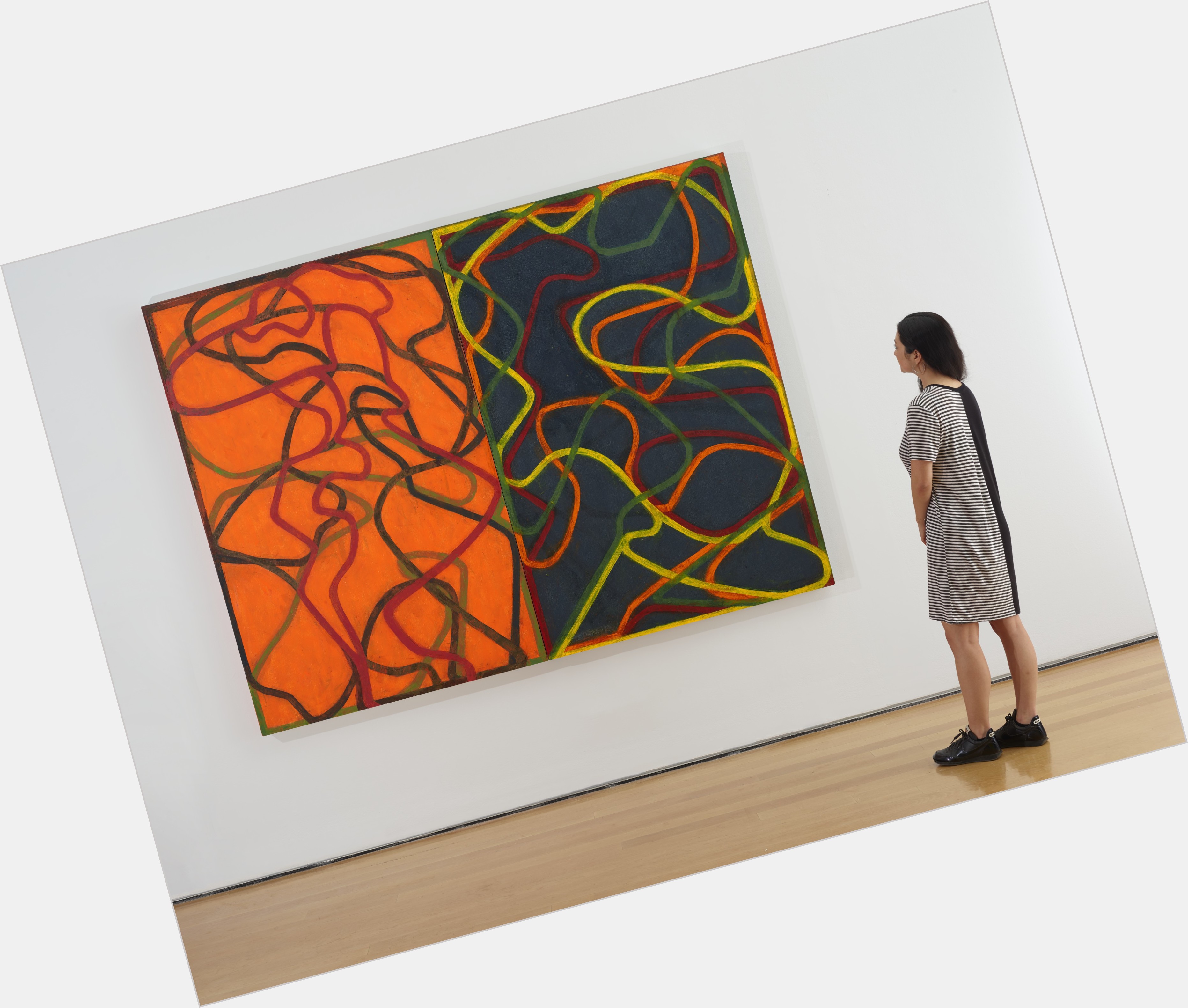 Brice Marden new pic 1