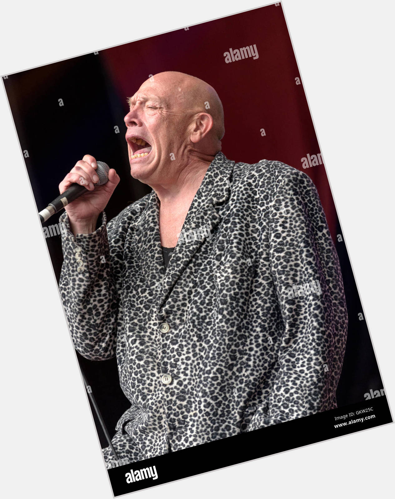 Buster Bloodvessel  