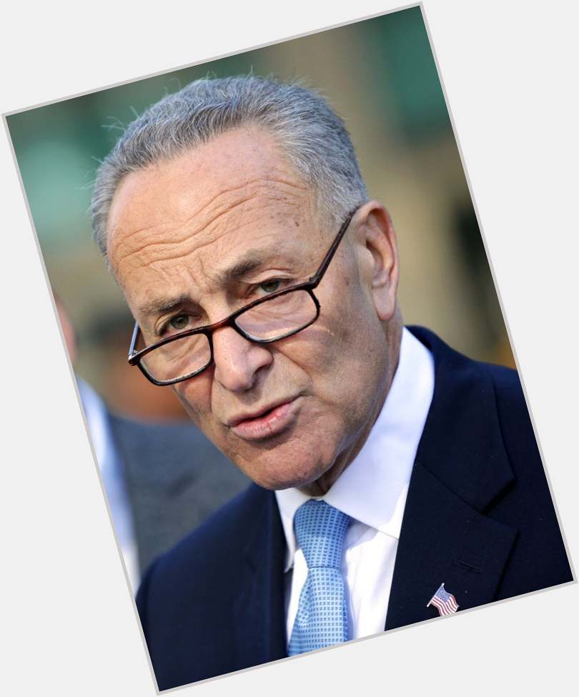 Charles Schumer Average body,  salt and pepper hair & hairstyles