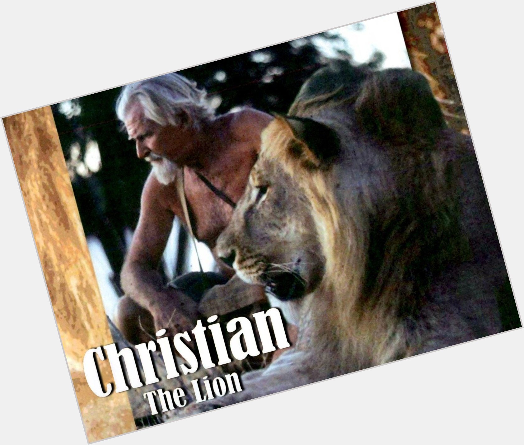 Christian The Lion shirtless bikini