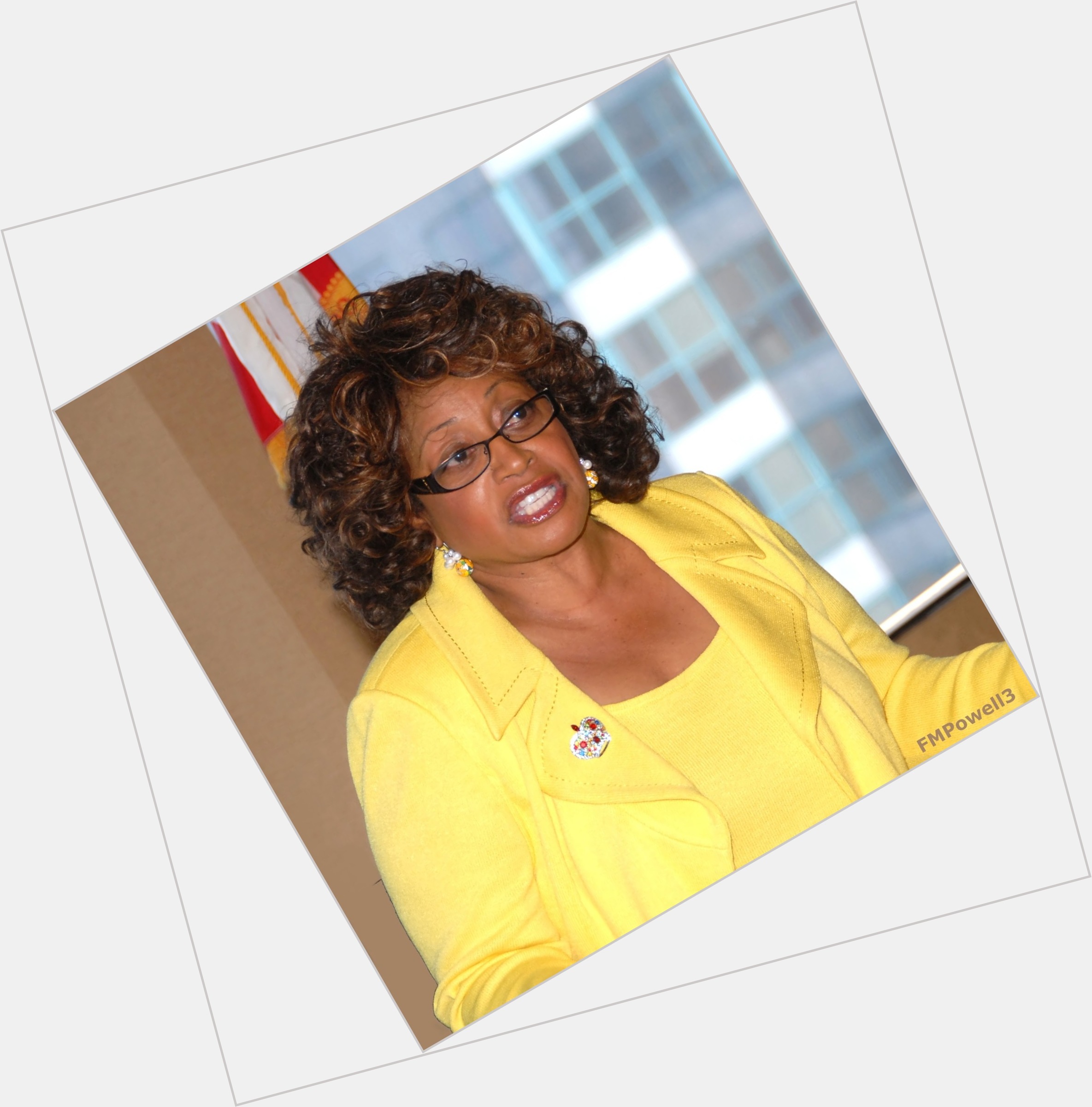 Corrine Brown sexy 5