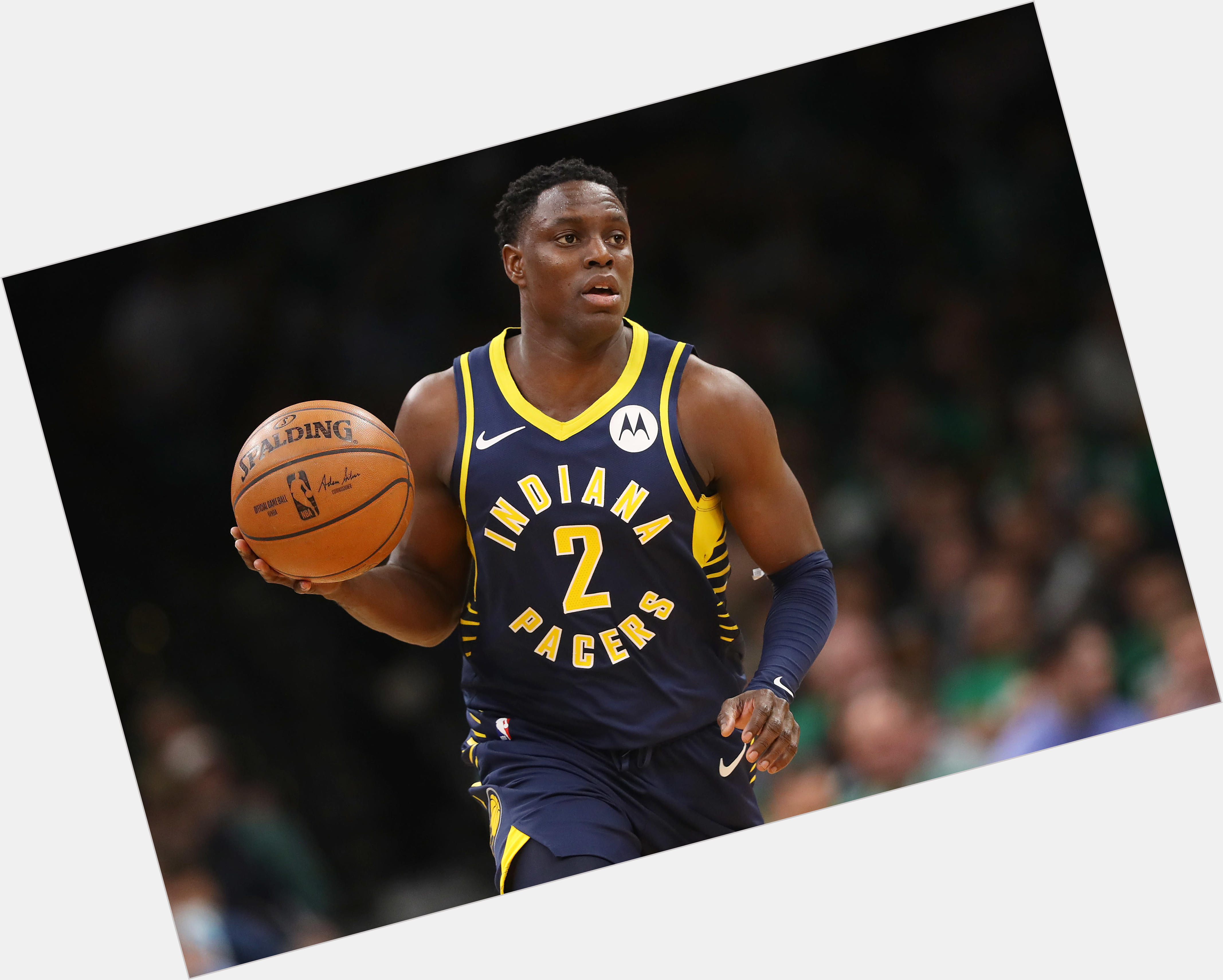 Darren Collison new pic 1