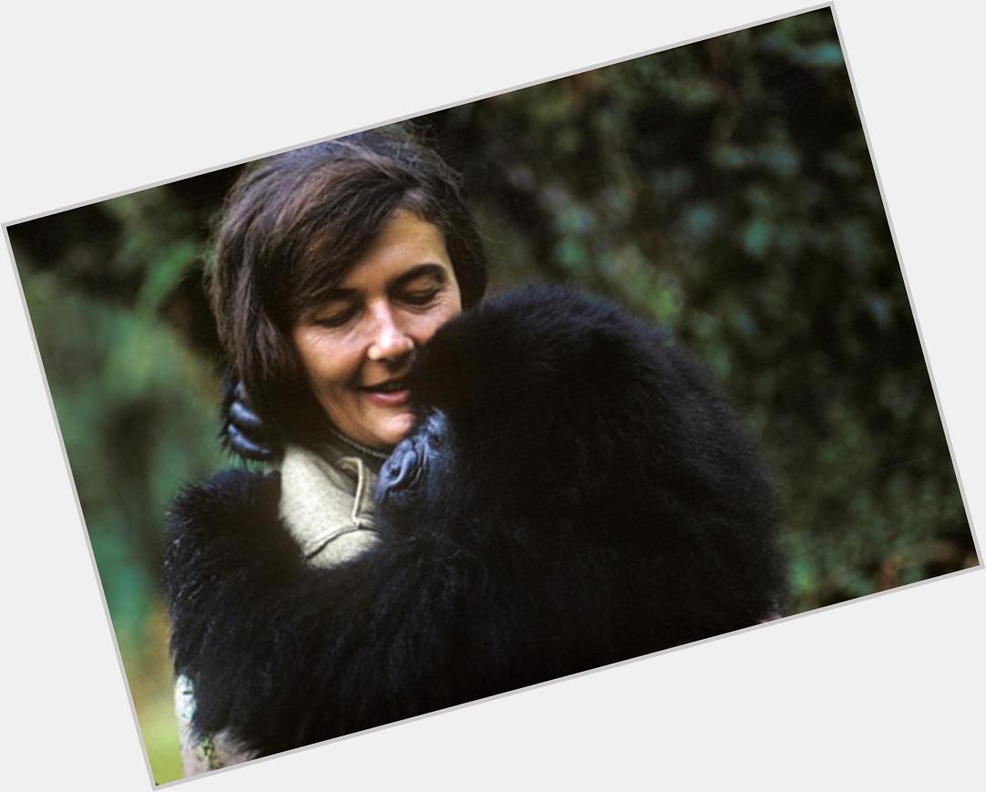 Dian Fossey birthday 2015