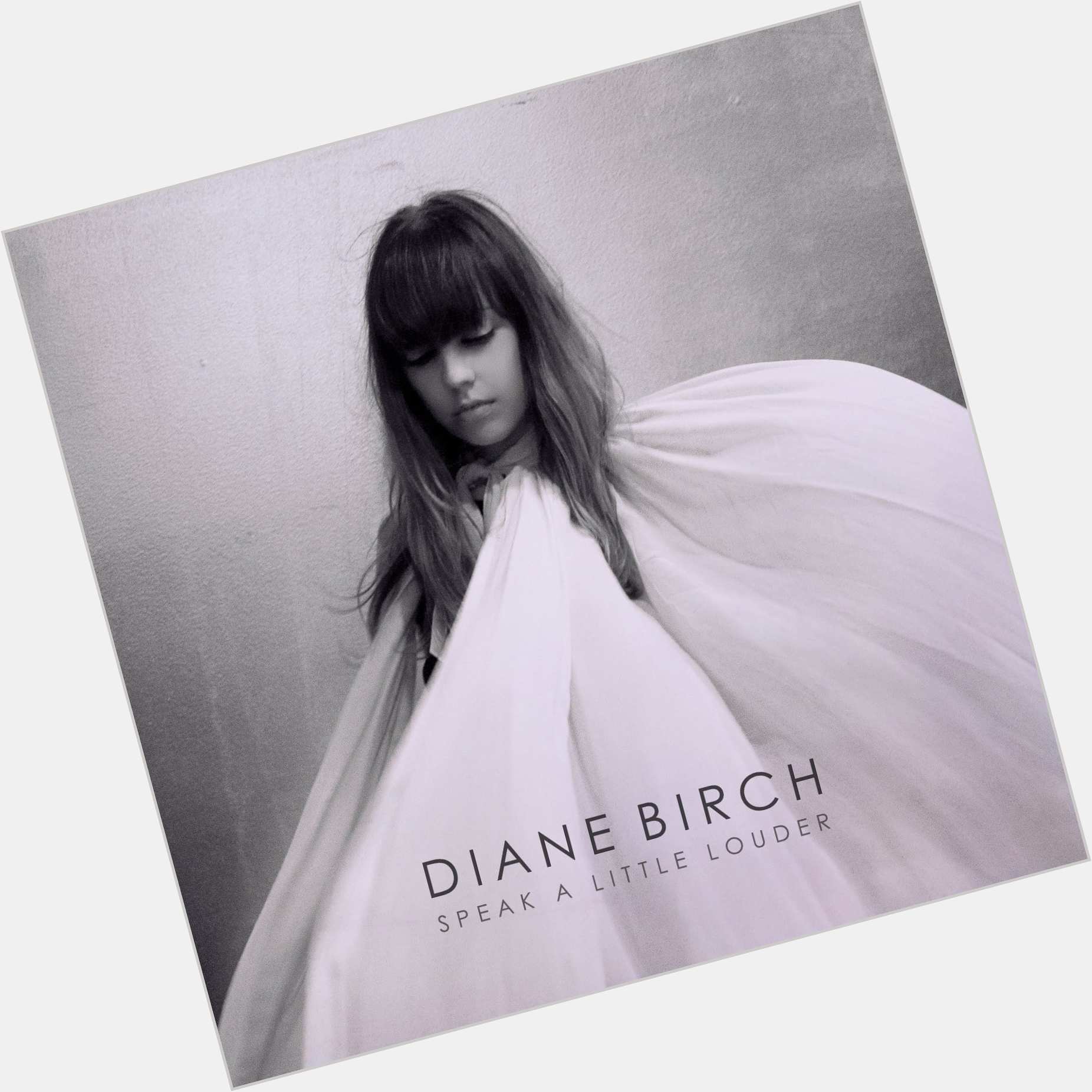 Diane Birch body 8