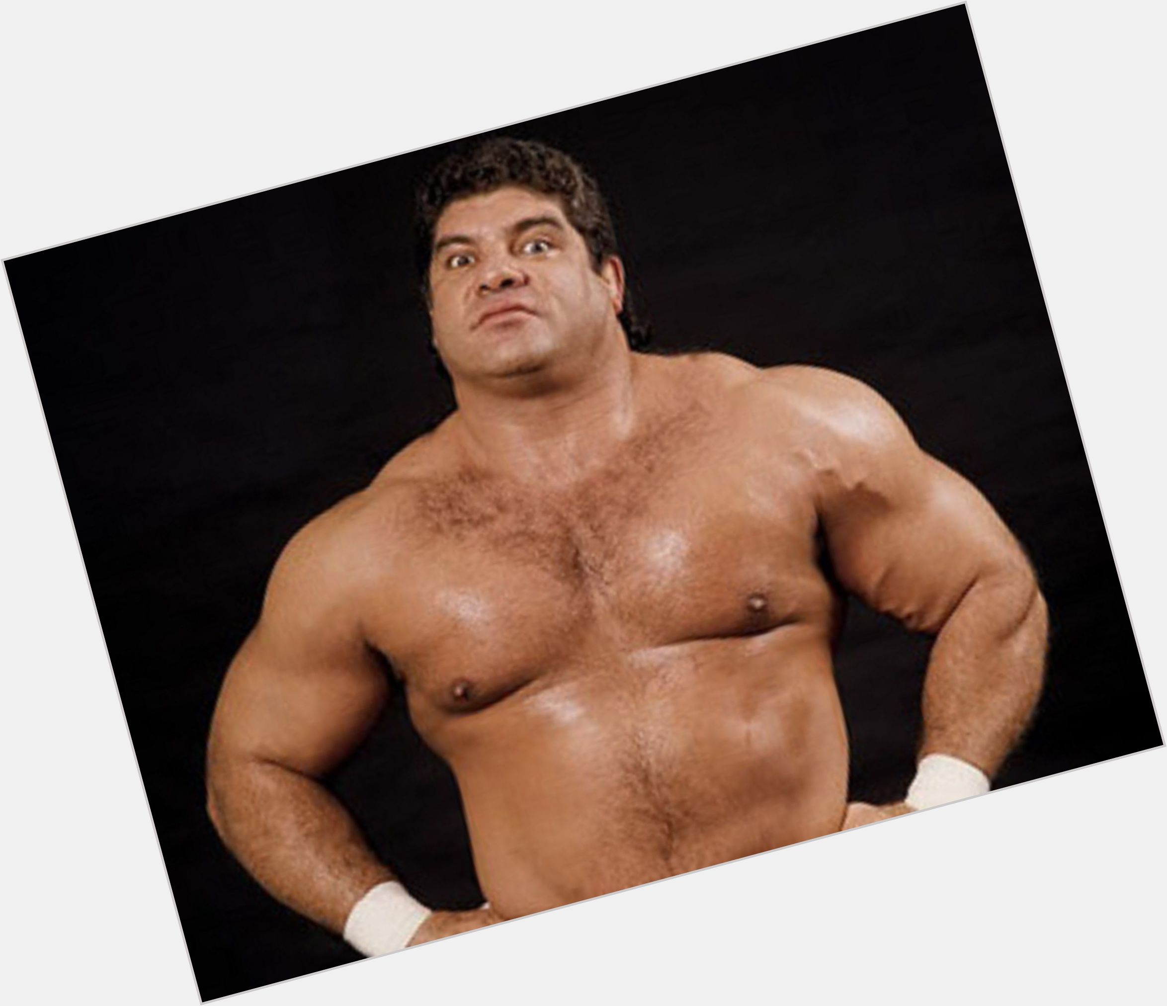 Don Muraco new pic 1