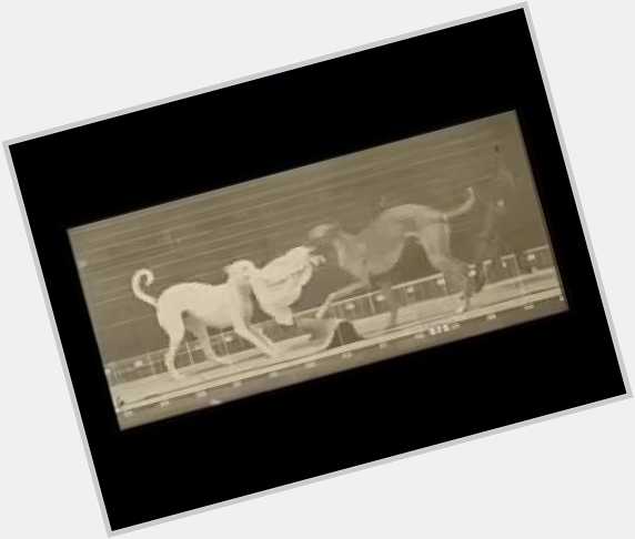 Eadweard Muybridge new pic 5.jpg