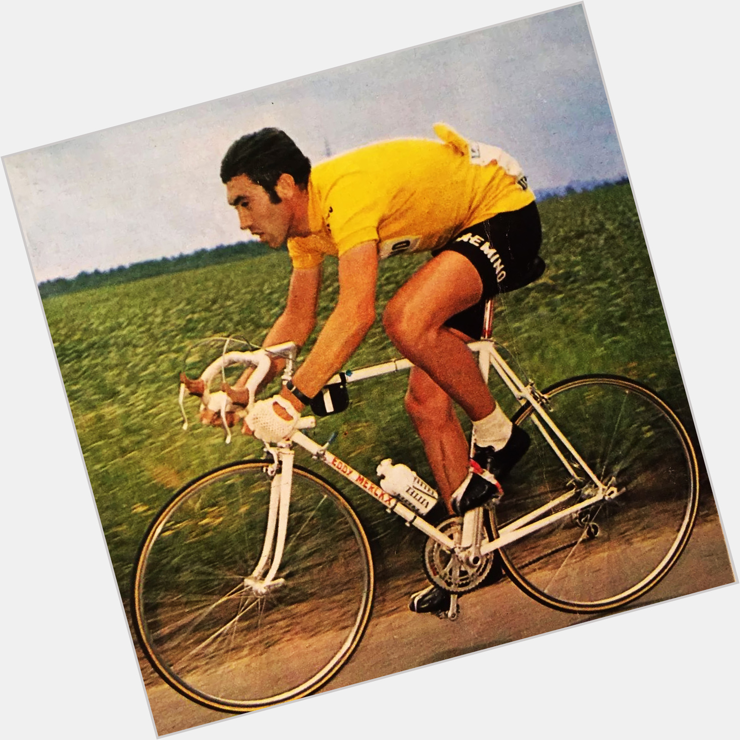Eddy Merckx birthday 2015