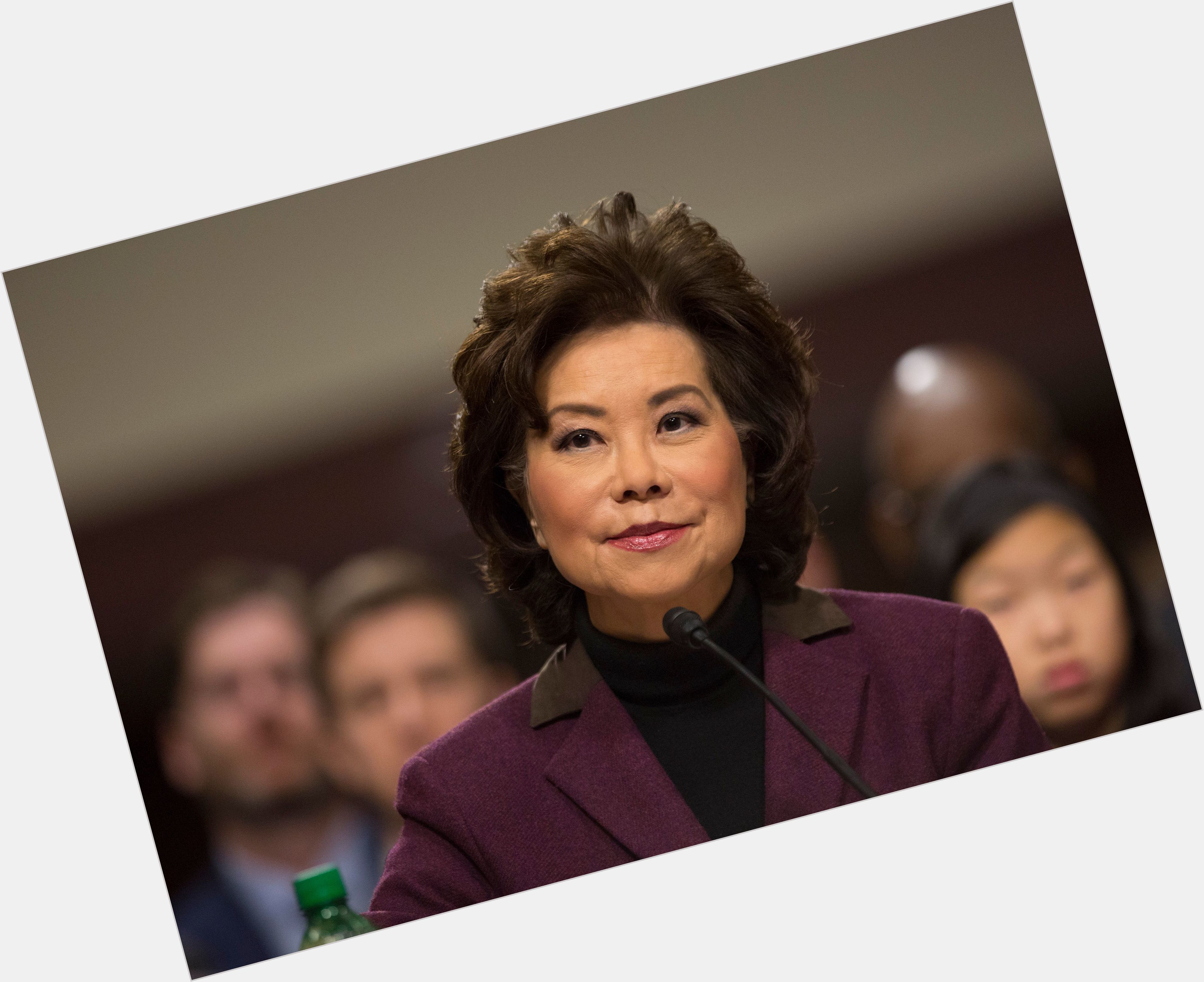 Elaine Chao new pic 1