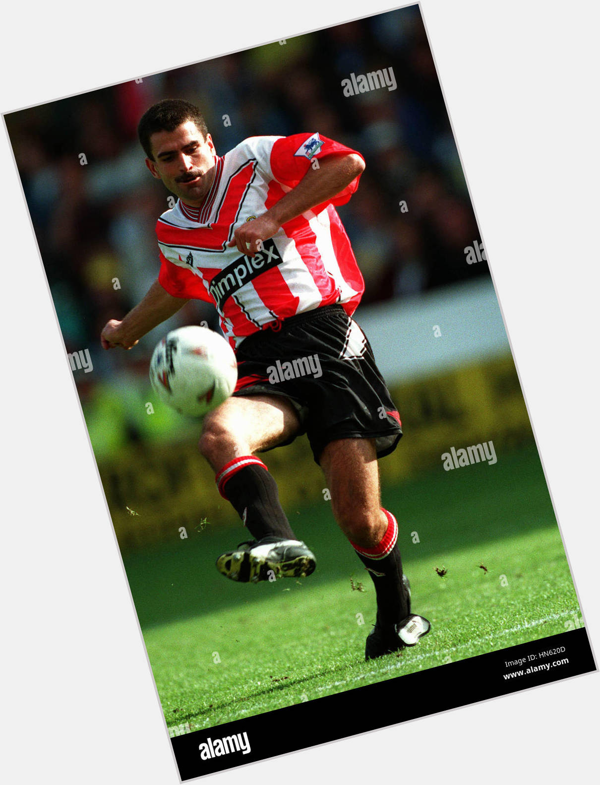 Francis Benali body 3