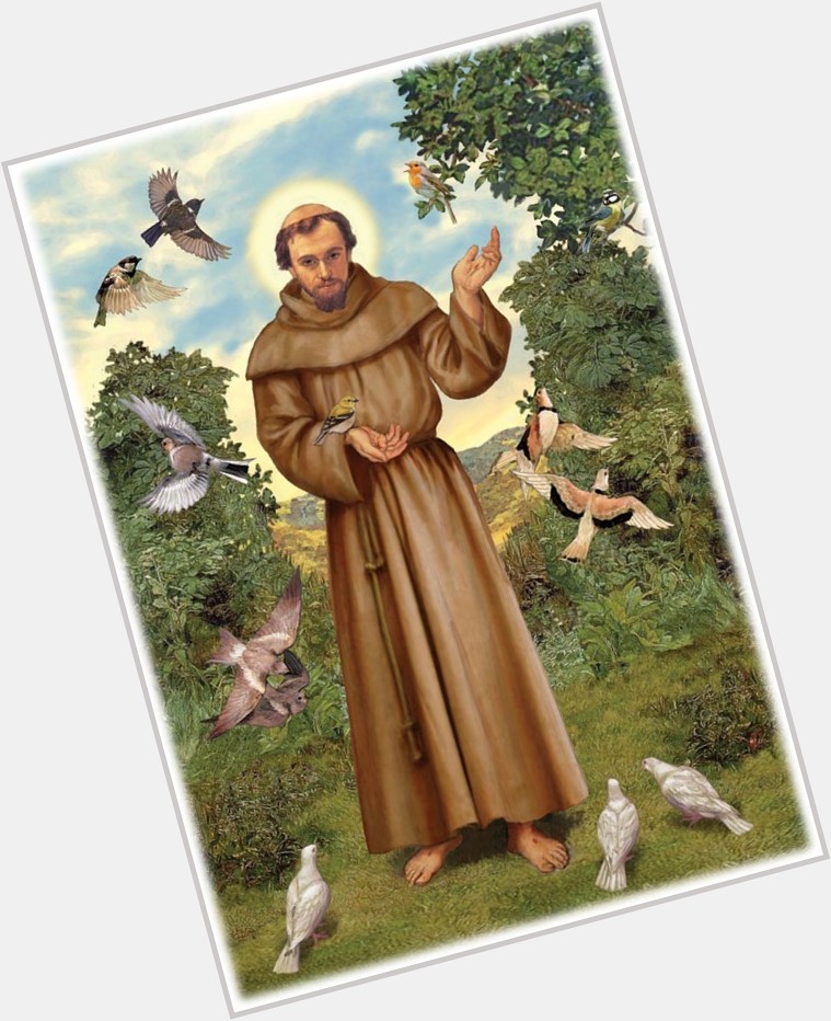 Francis Of Assisi new pic 1.jpg
