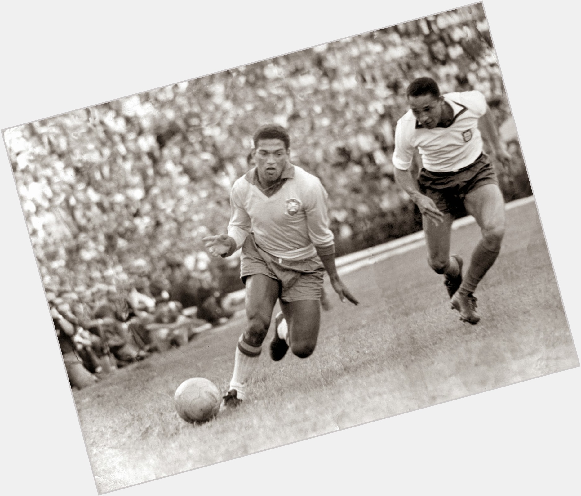 Garrincha new pic 1