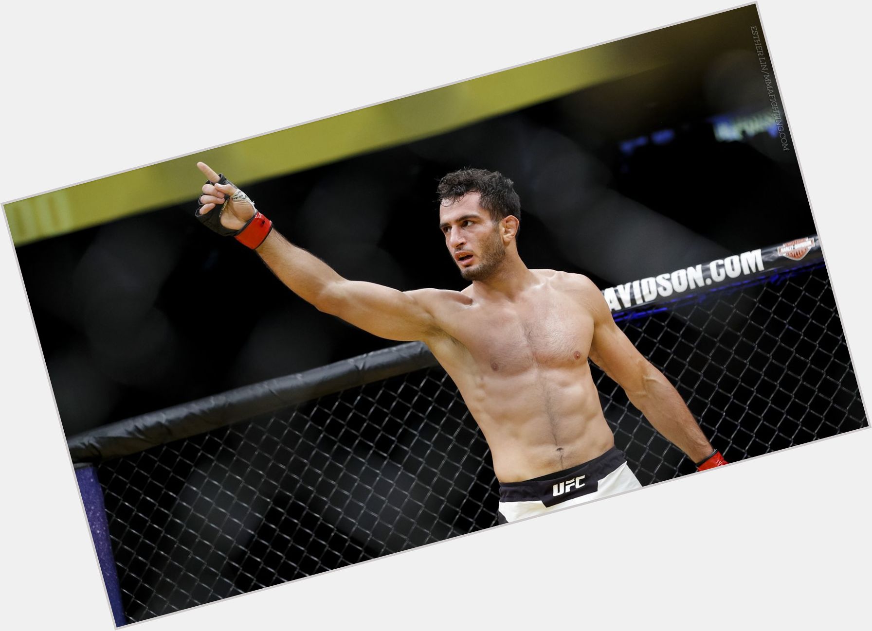 Gegard Mousasi picture 1