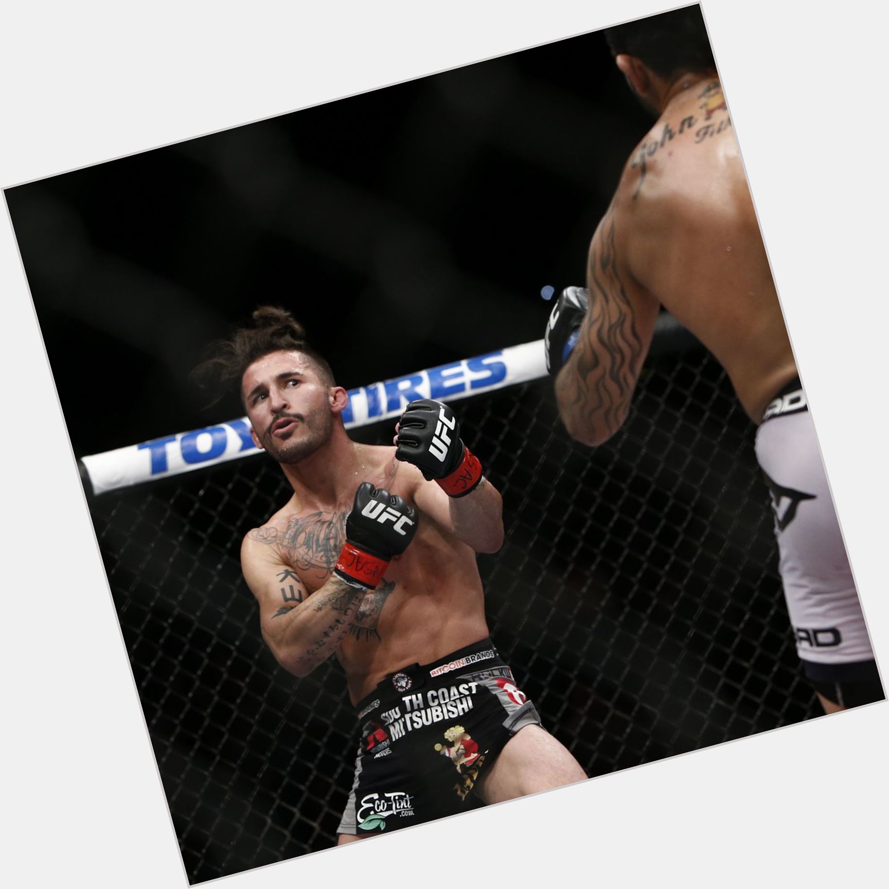 Ian Mccall new pic 1