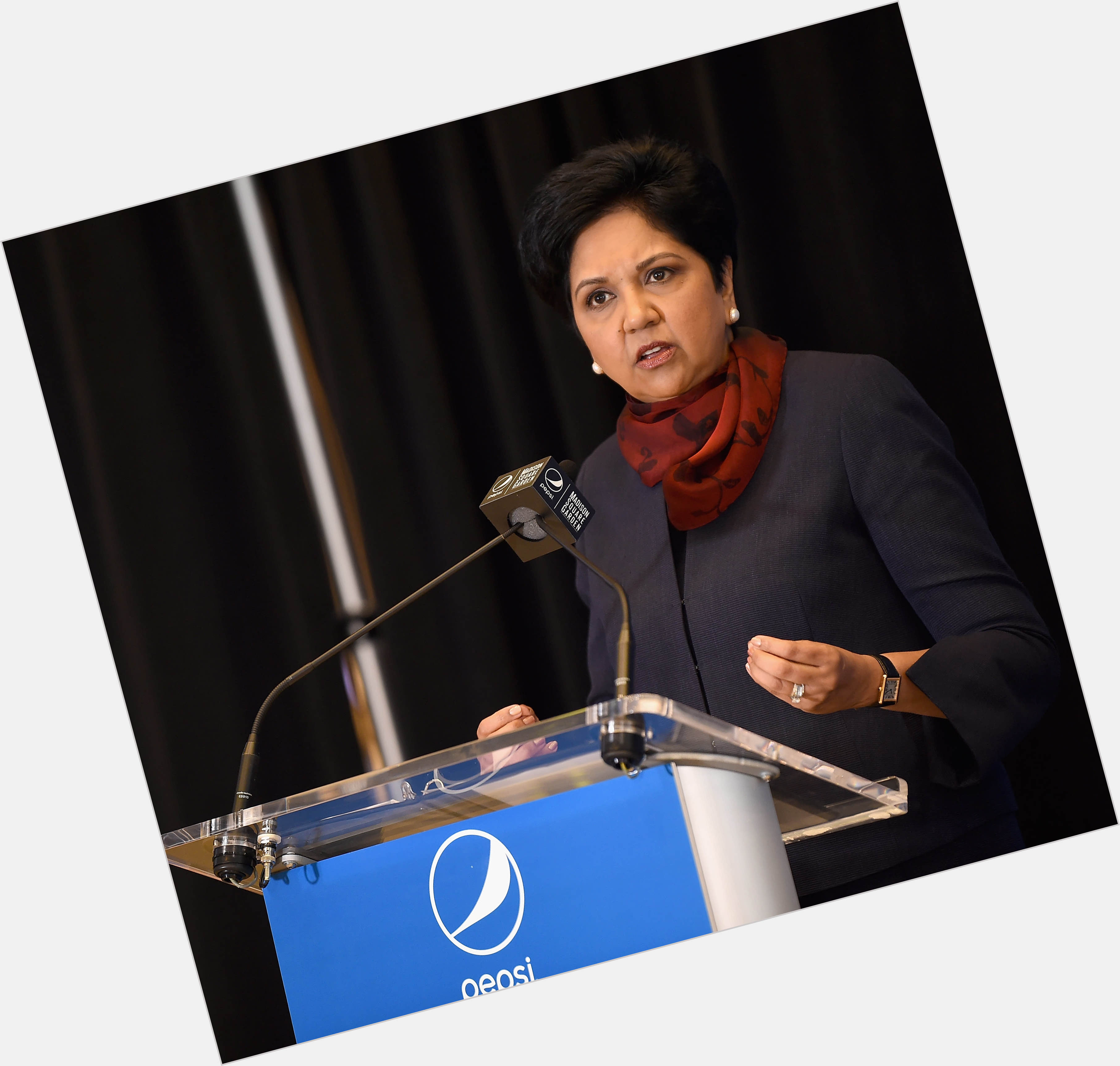 Indra Nooyi sexy 8