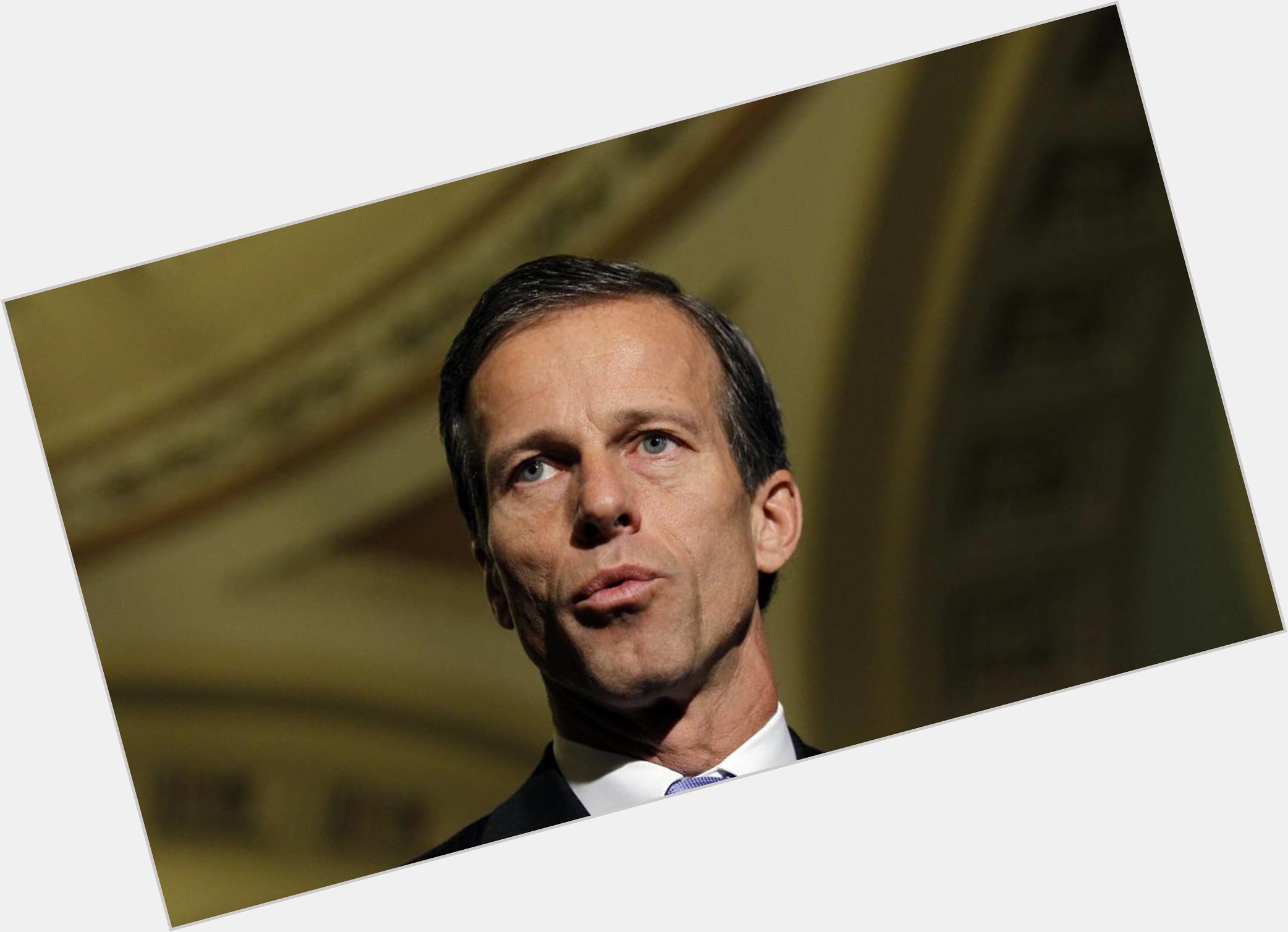 John Thune where who 3