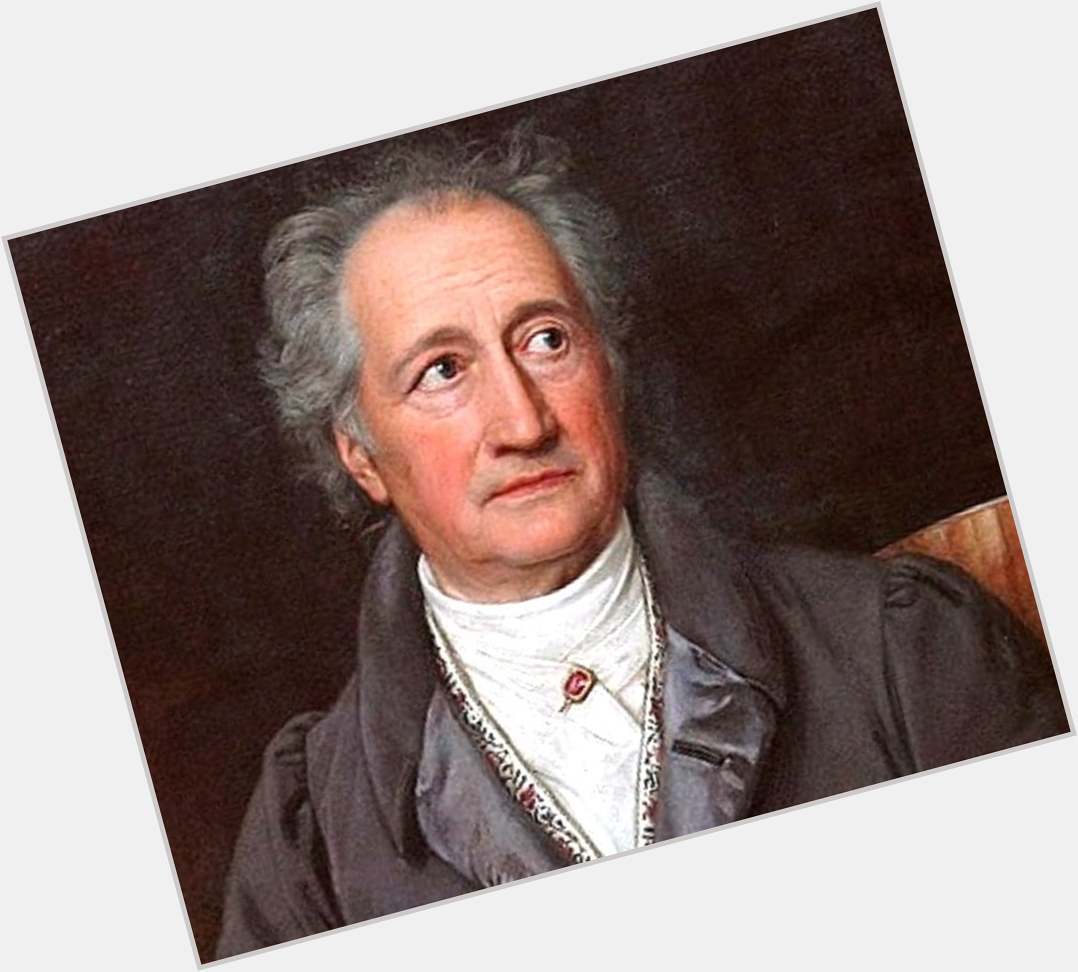 Johann Wolfgang Von Goethe  light brown hair & hairstyles