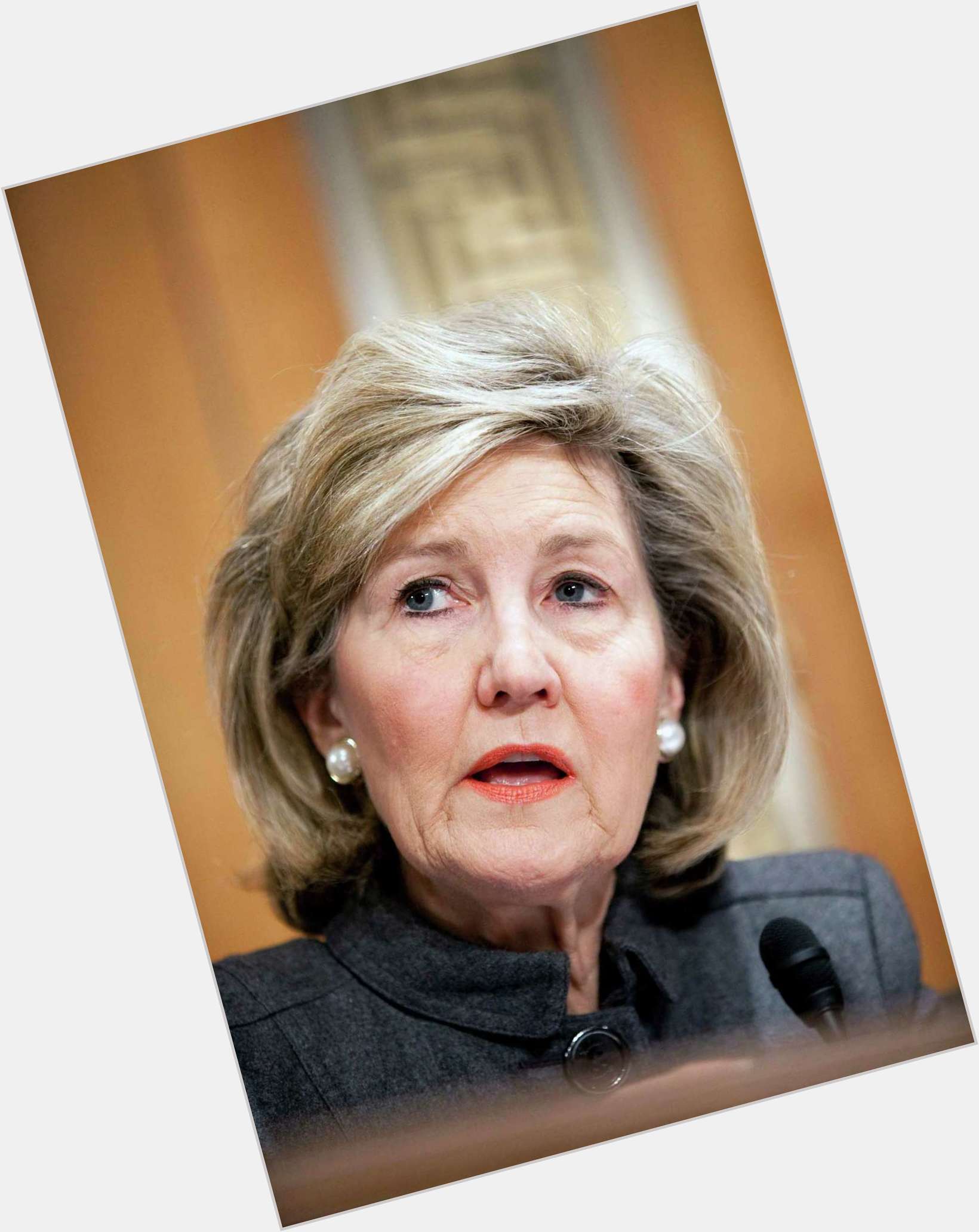 Kay Bailey Hutchison picture 8