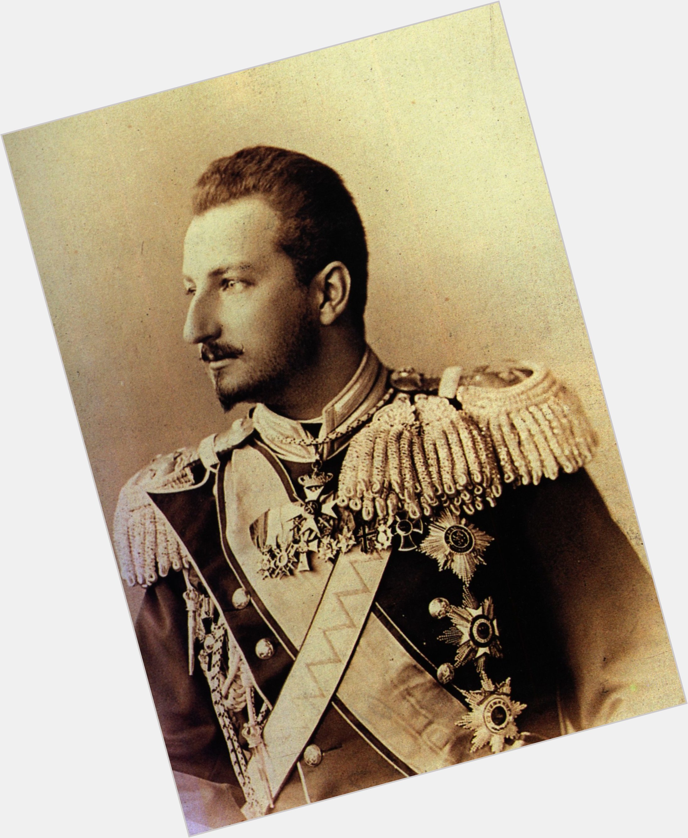 King Ferdinand Of Bulgaria  