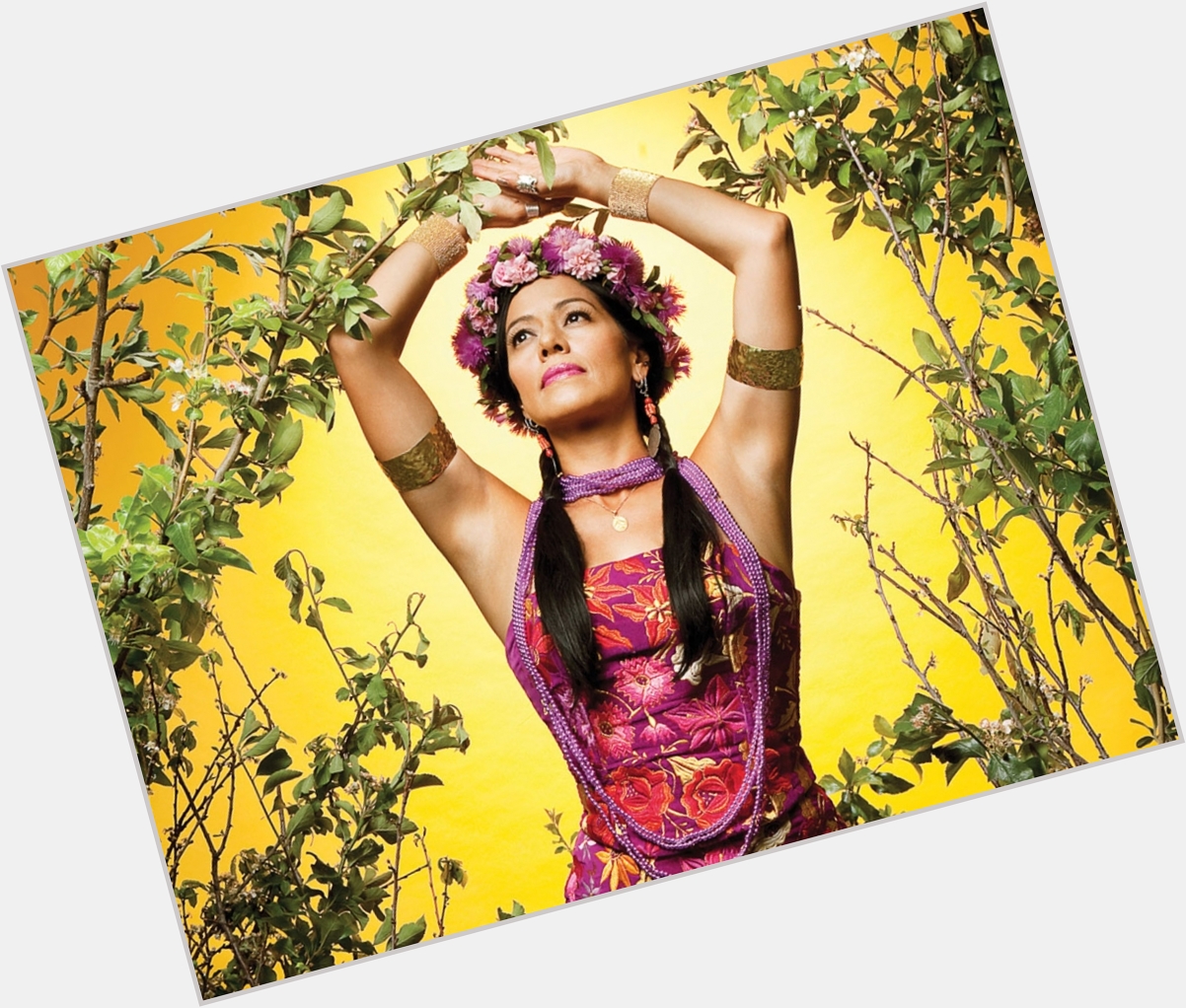 Lila Downs hairstyle 5