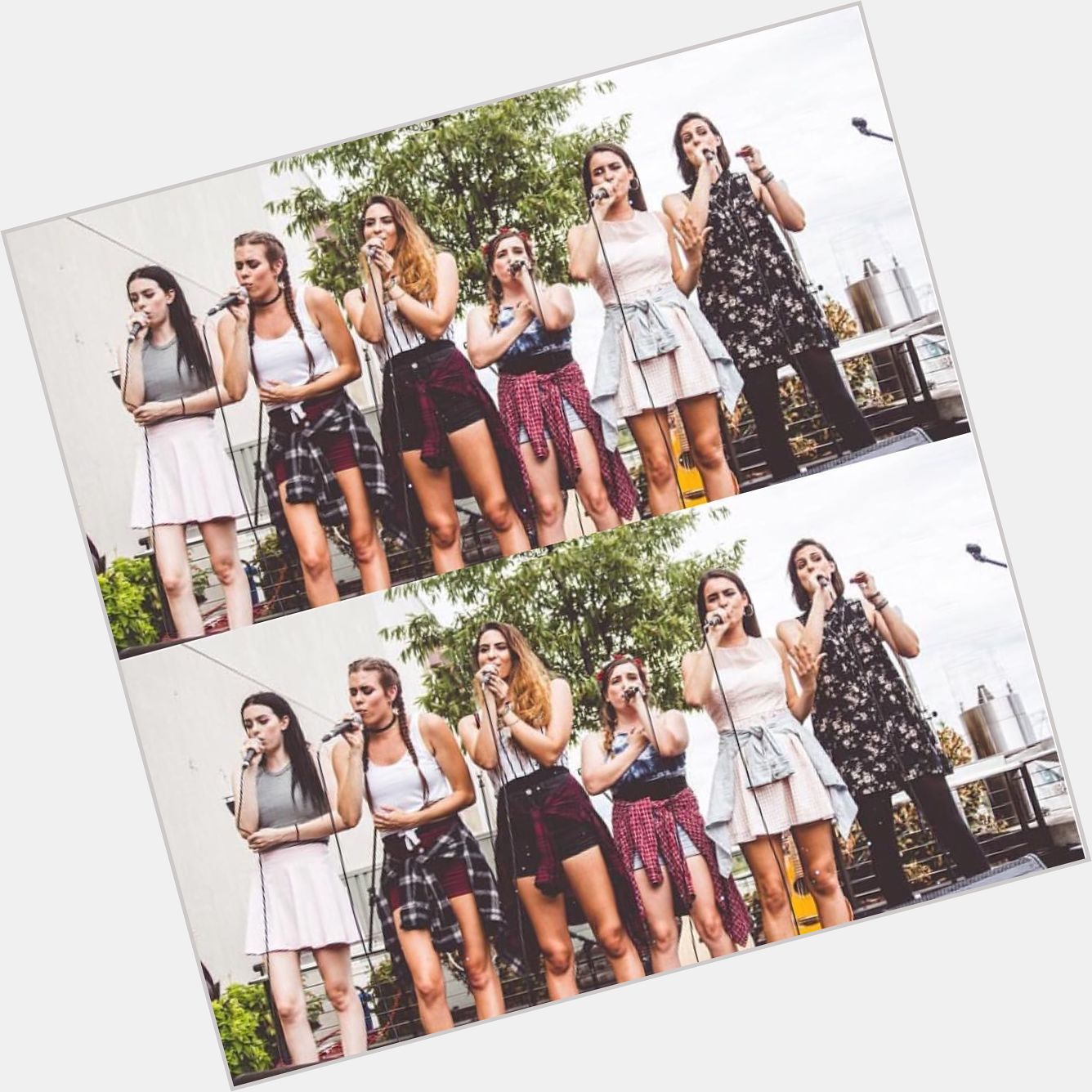 Lynne Cimorelli marriage 5