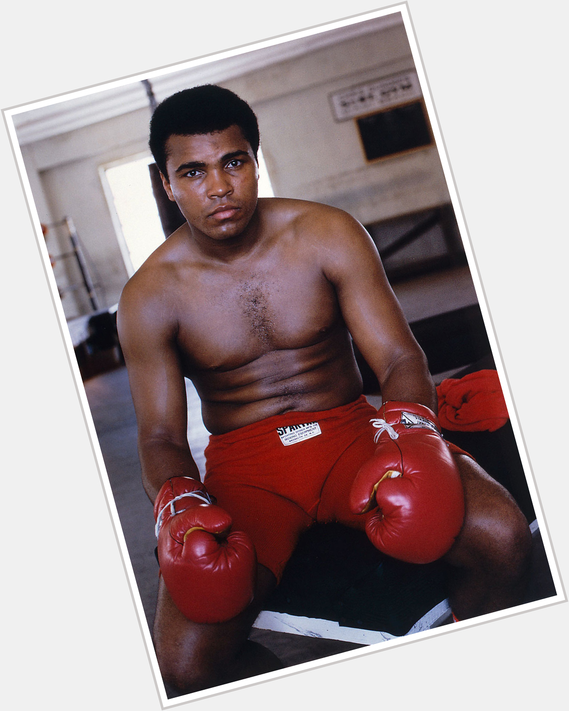 Mohammad Ali  