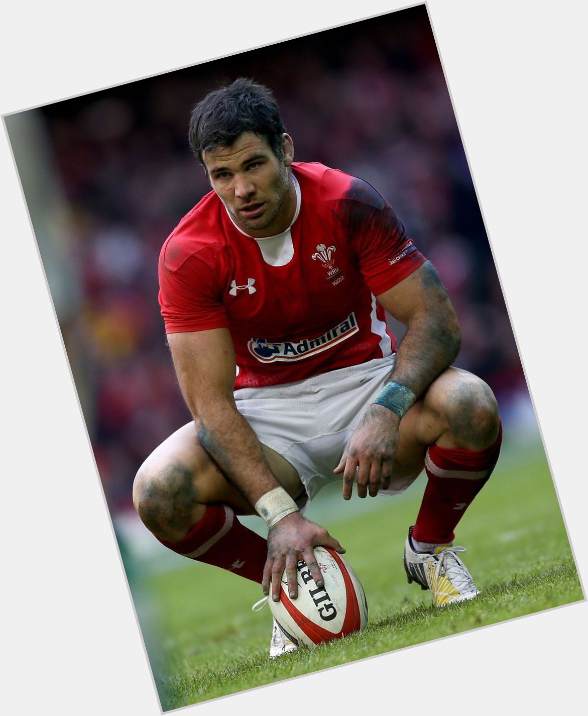 mike phillips rugby 3