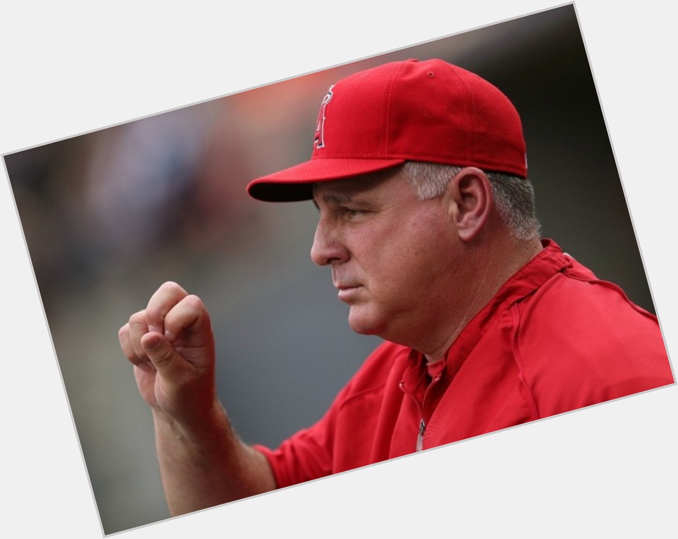 mike scioscia angry 1