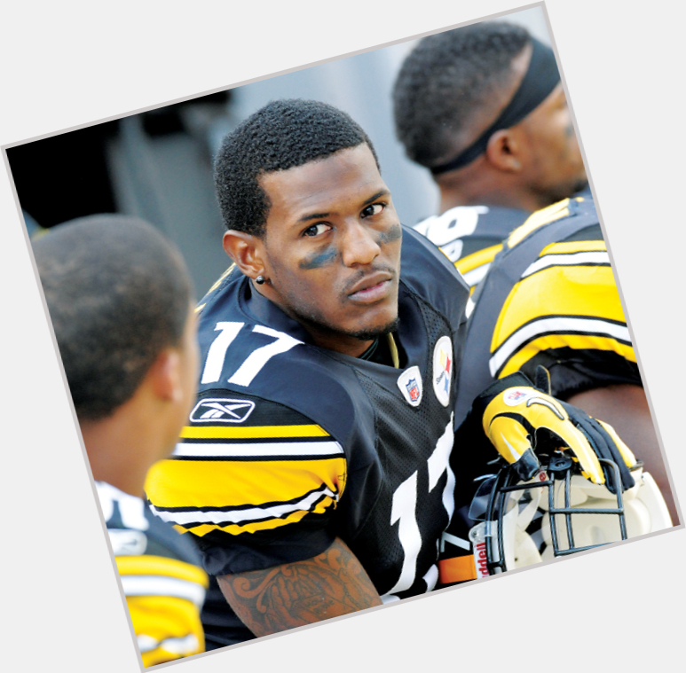 mike wallace steelers 1