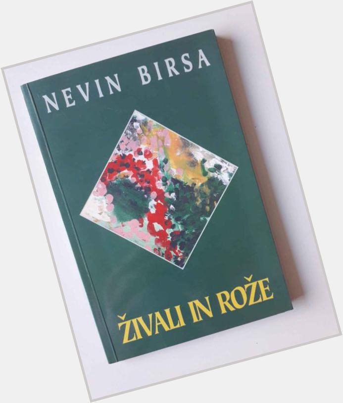 Nevin Birsa new pic 1