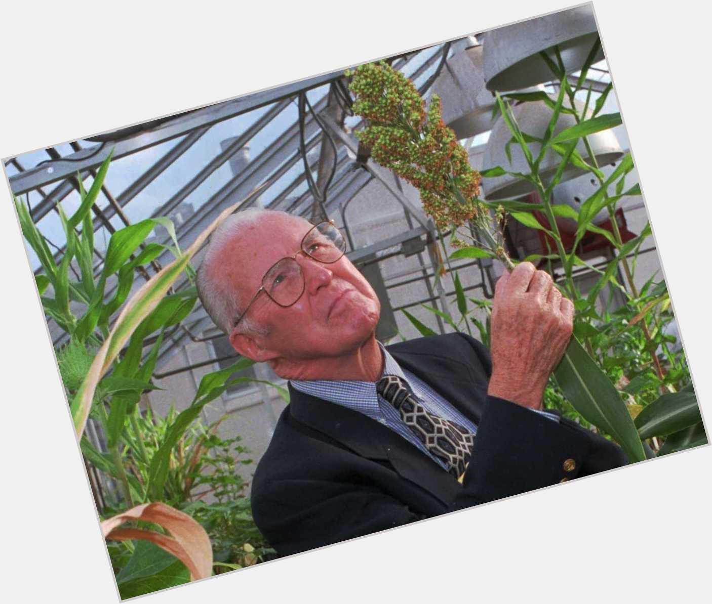 Norman Borlaug  