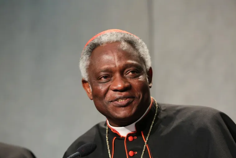 Peter Turkson new pic 1