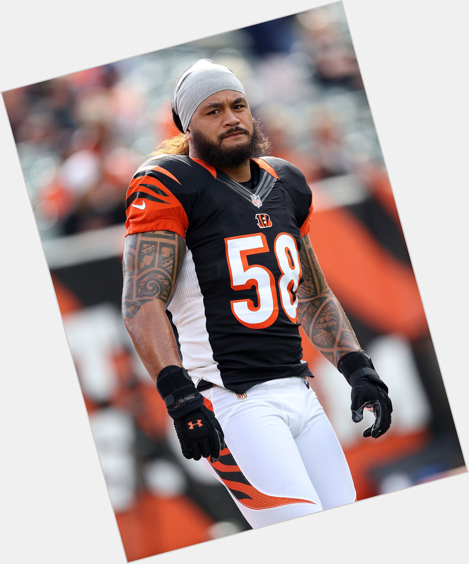 Ray Maualuga picture 1