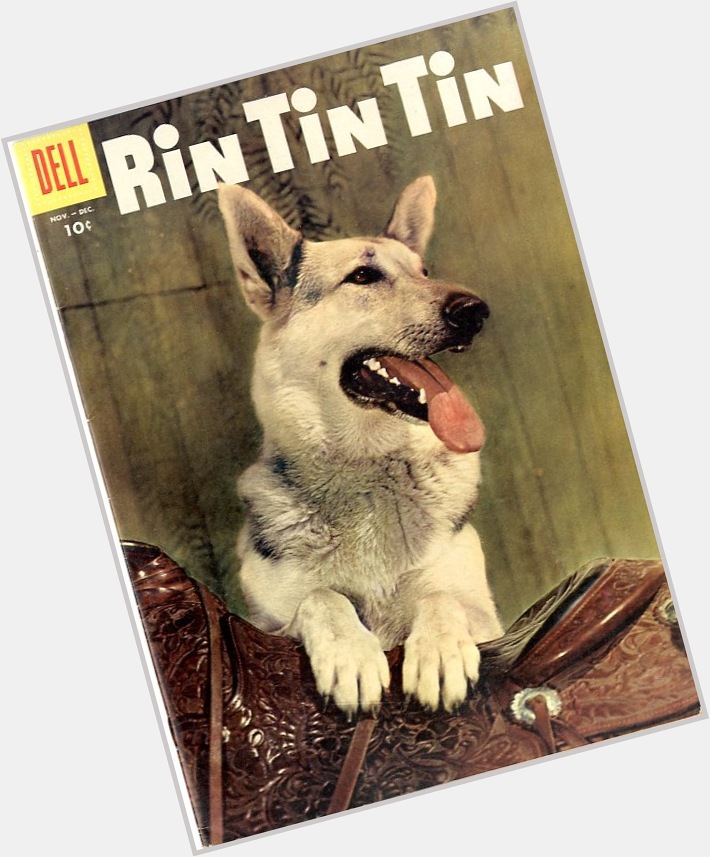 Rin Tin Tin  