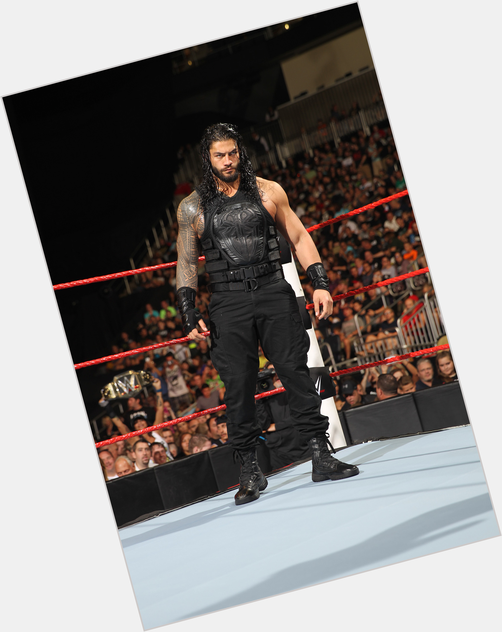 Roman Reigns exclusive hot pic 3