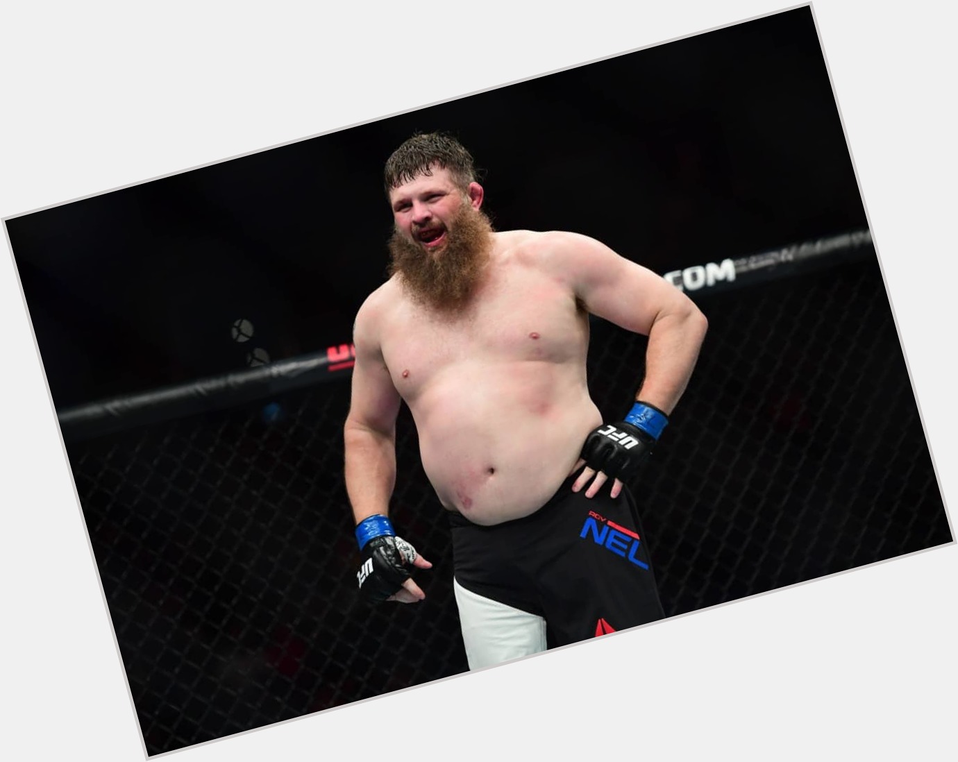 Roy Nelson new pic 1