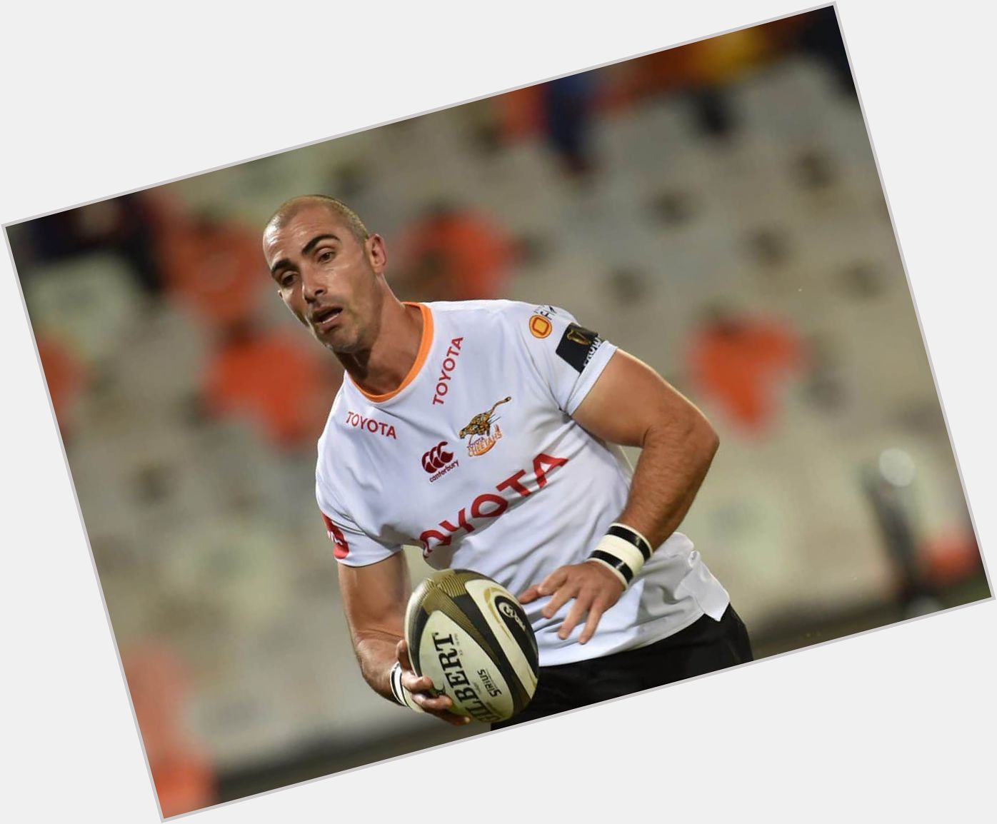 Ruan Pienaar picture 1